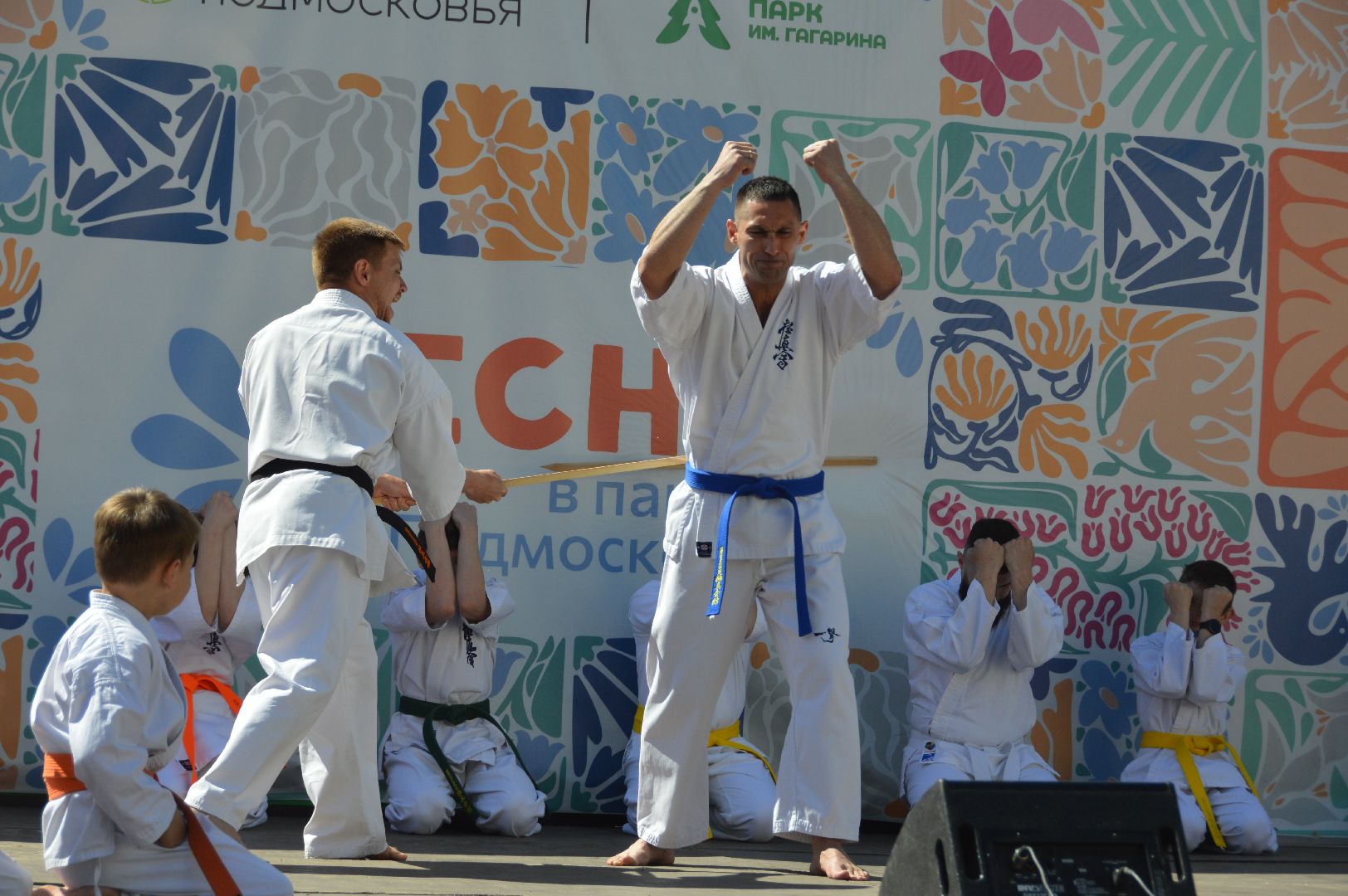 шатура, каратэ-до, мастер-класс по каратэ, тора, Орехово-Зуево, Павловский-Посад, путилково, химки, городские парки Шатуры,пустая рука,