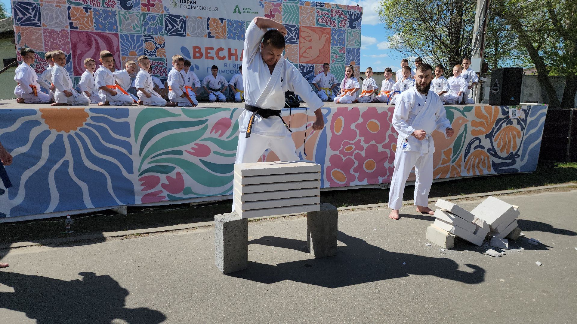 шатура, каратэ-до, мастер-класс по каратэ, тора, Орехово-Зуево, Павловский-Посад, путилково, химки, городские парки Шатуры,пустая рука,