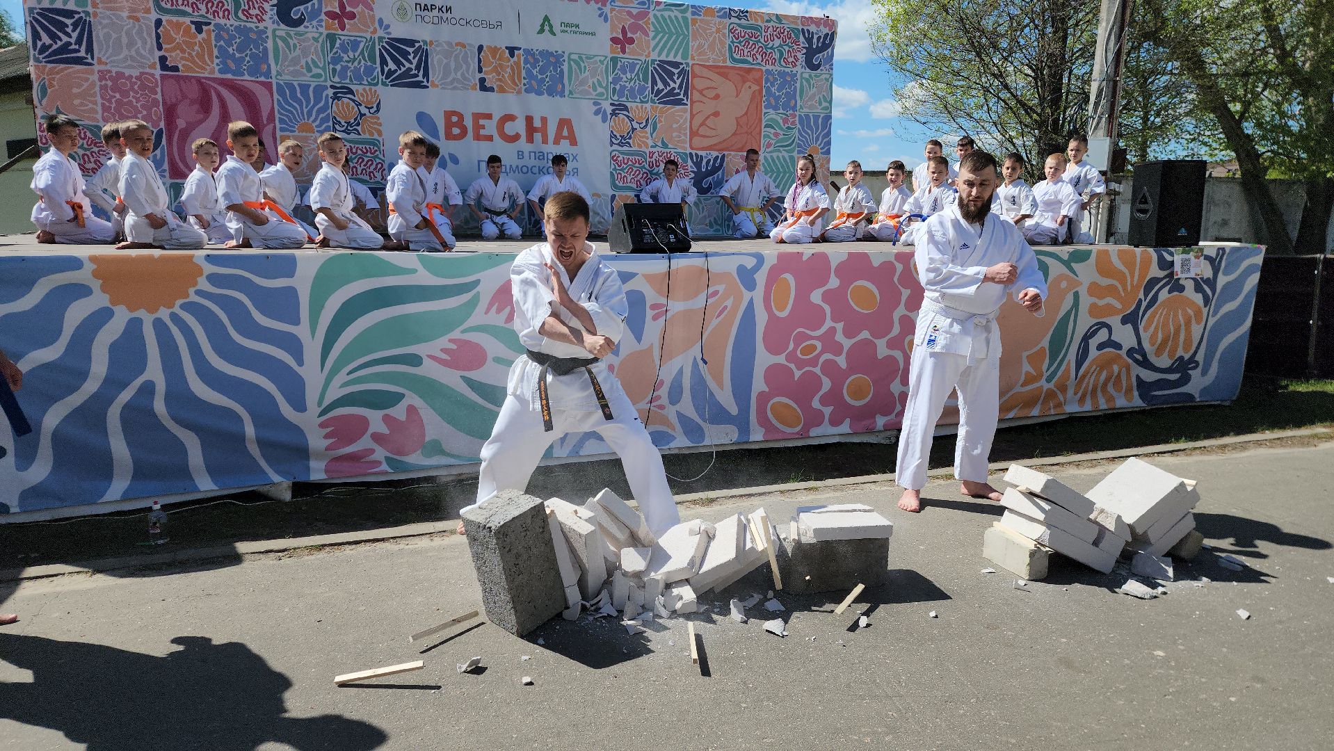 шатура, каратэ-до, мастер-класс по каратэ, тора, Орехово-Зуево, Павловский-Посад, путилково, химки, городские парки Шатуры,пустая рука,