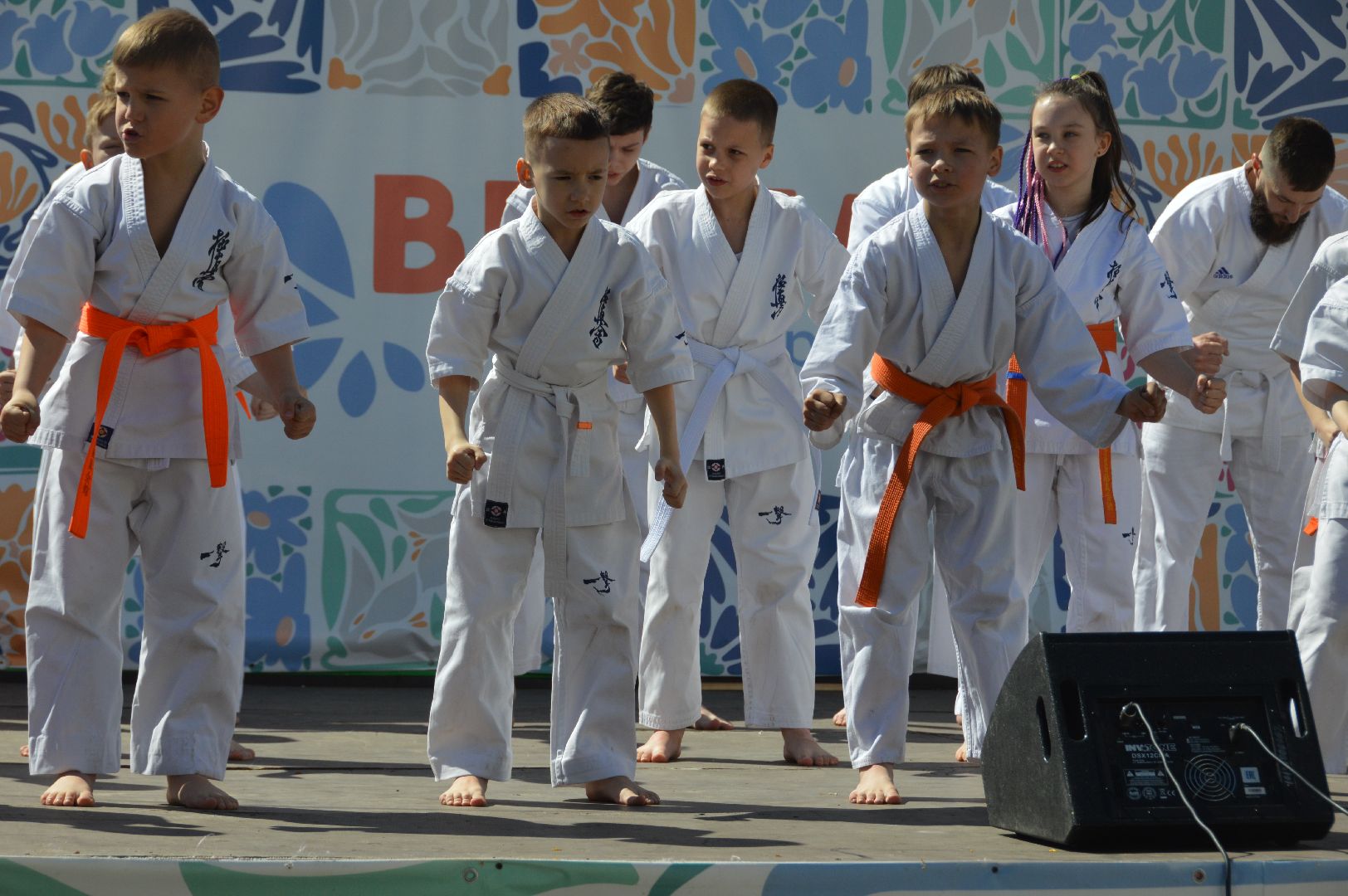 шатура, каратэ-до, мастер-класс по каратэ, тора, Орехово-Зуево, Павловский-Посад, путилково, химки, городские парки Шатуры,пустая рука,