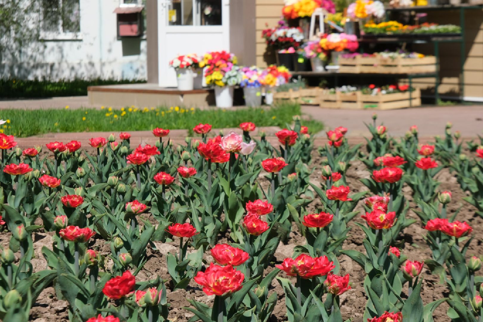 Пущино, благоустойство, серпухов,