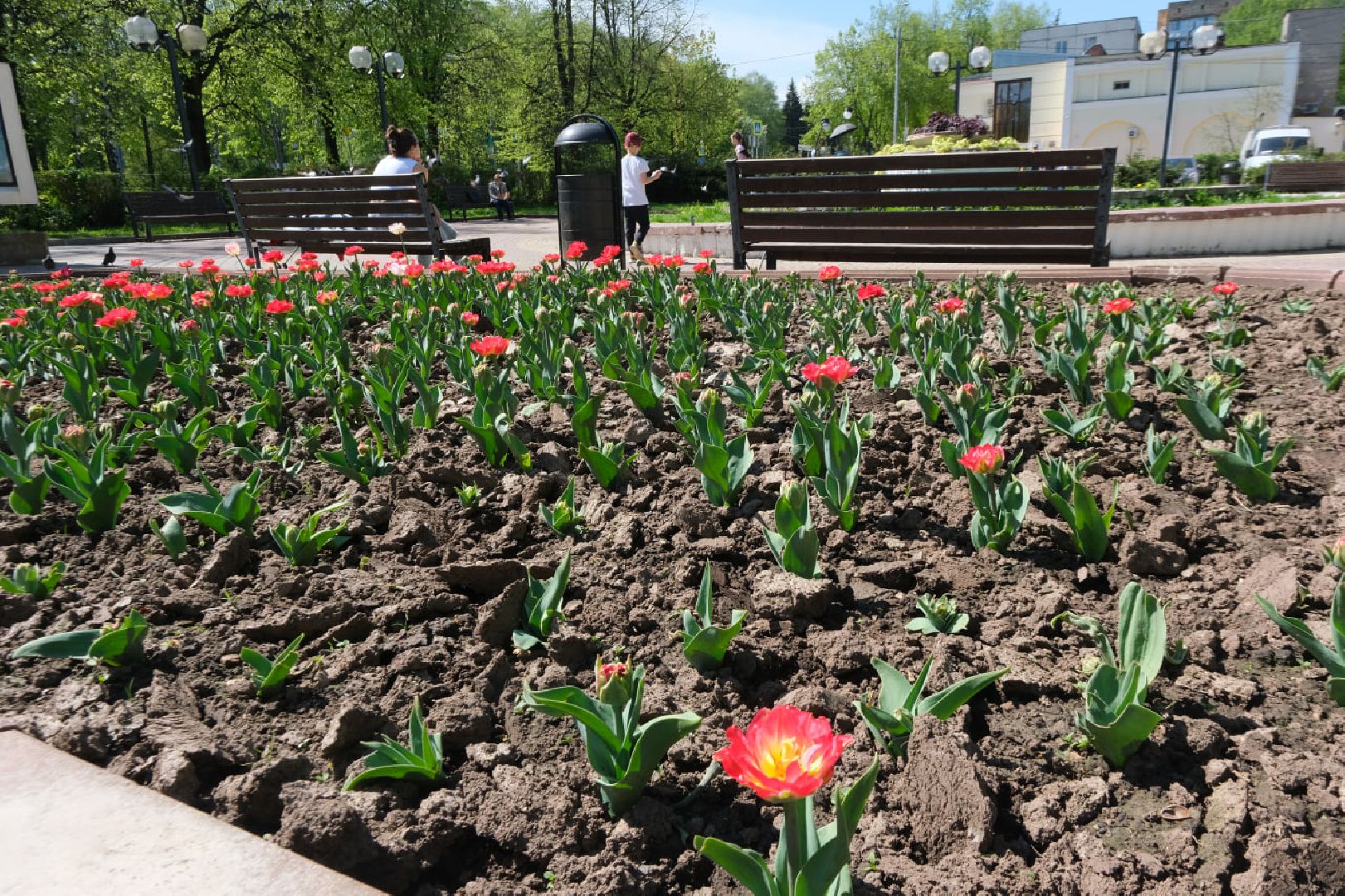 Пущино, благоустойство, серпухов,