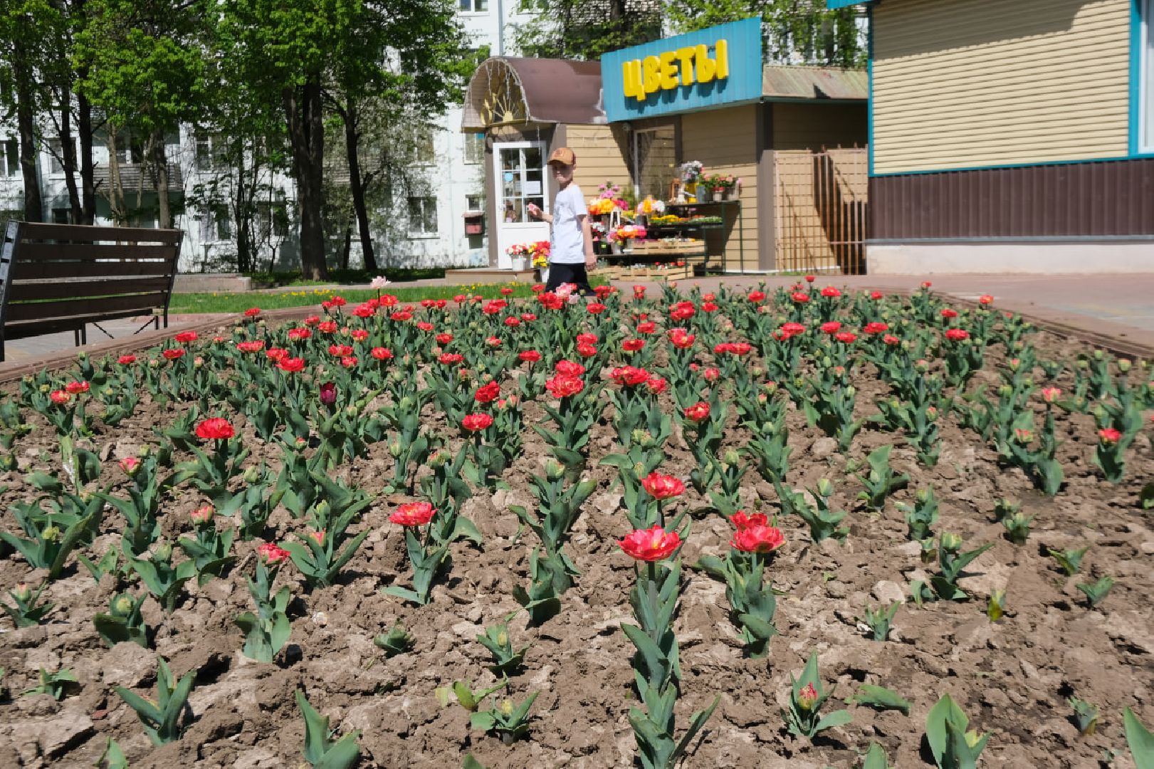 Пущино, благоустойство, серпухов,