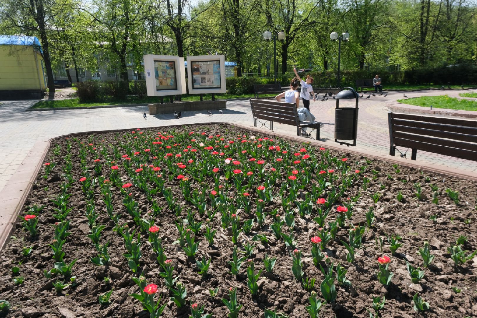 Пущино, благоустойство, серпухов,