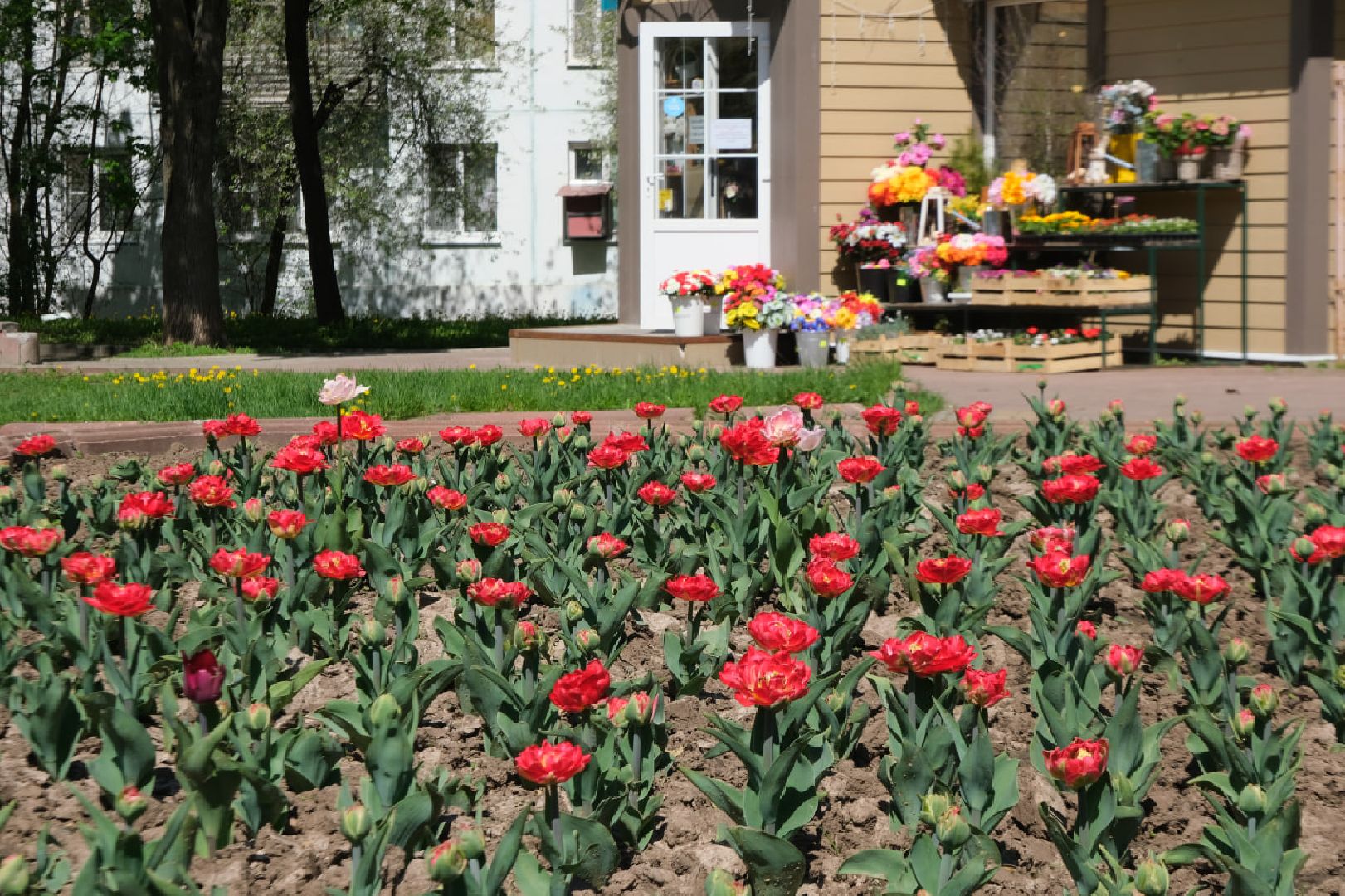 Пущино, благоустойство, серпухов,