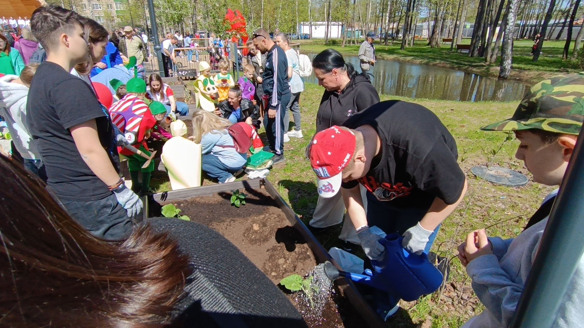 парк, огород, лобня,