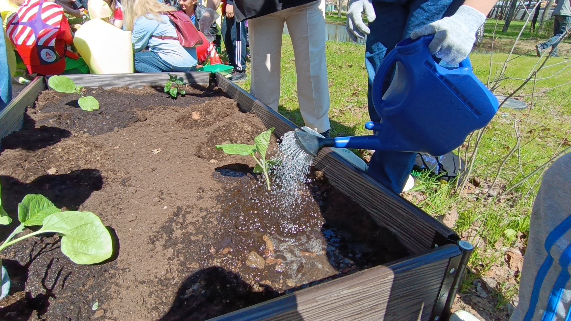 парк, огород, лобня,