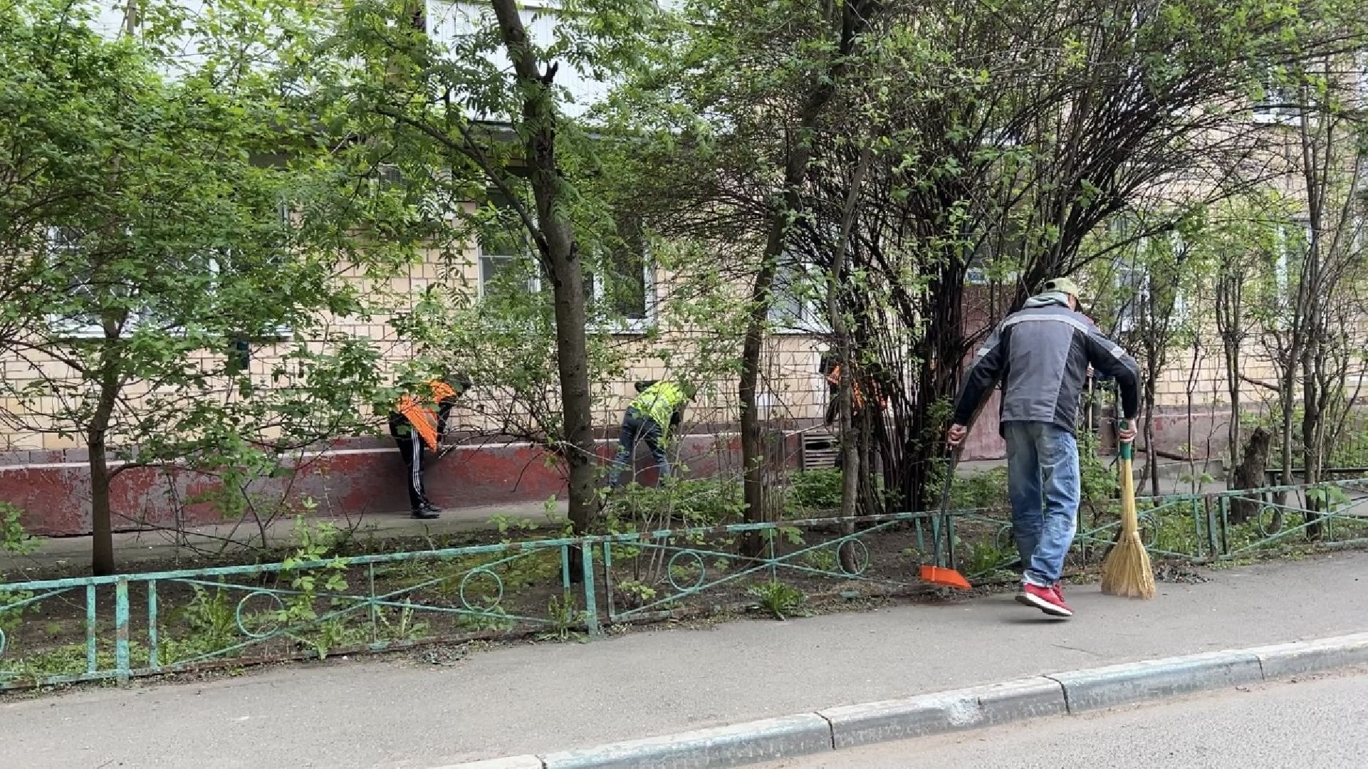 химки, жкх, уборка дворов, благоустройство,