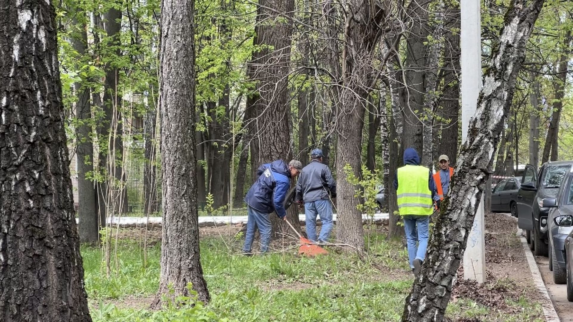 химки, жкх, уборка дворов, благоустройство,