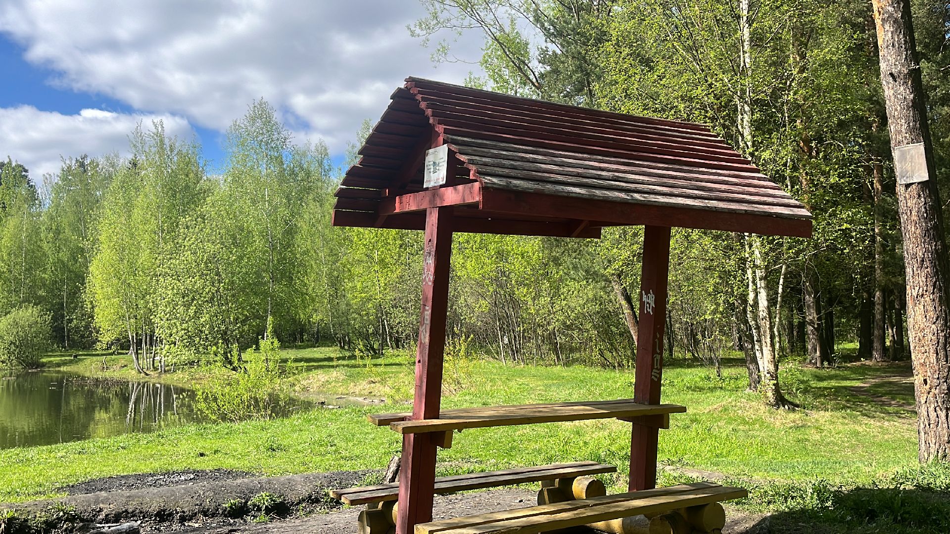 шашлык, шашлыки, шашлык у озера, озеро,