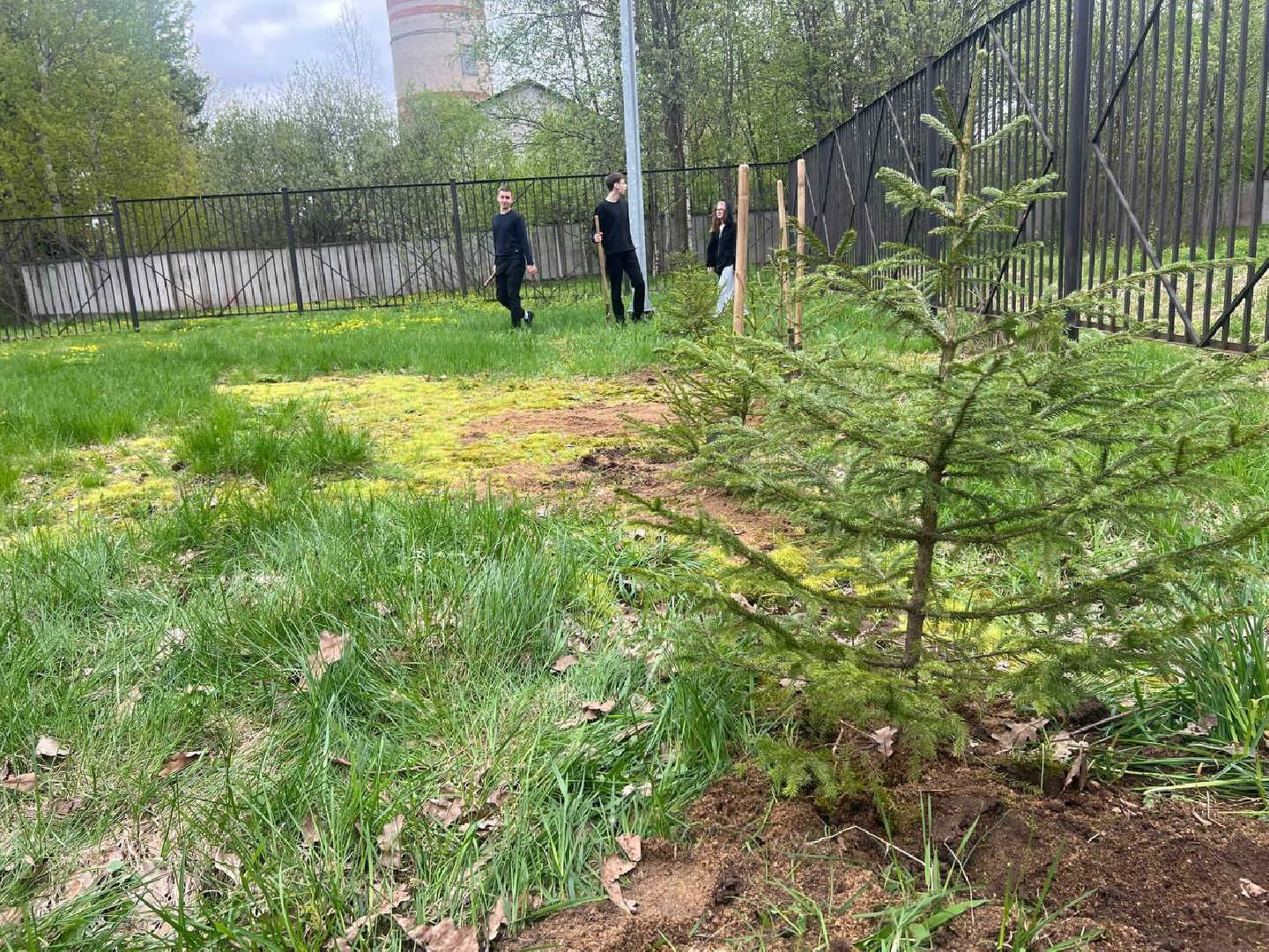 добрые дела, школьники, посадка деревьев,