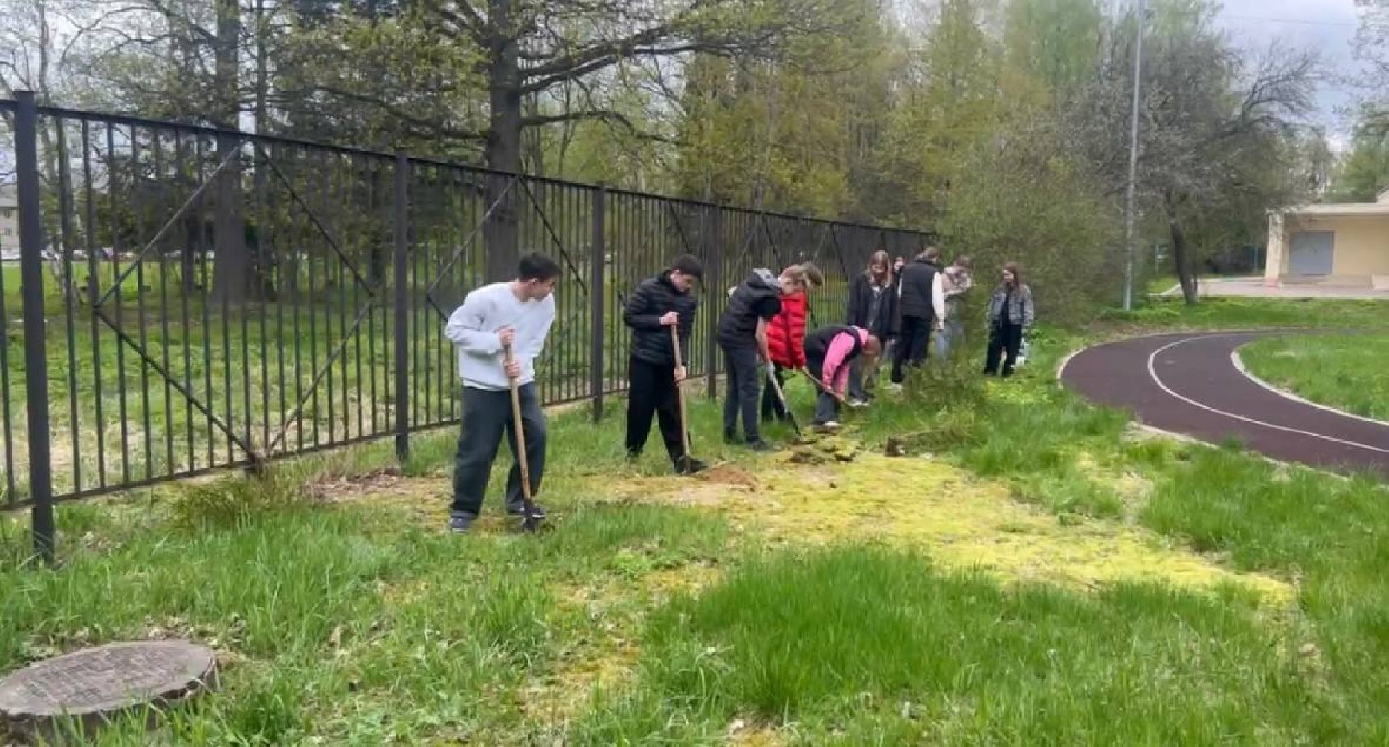 добрые дела, школьники, посадка деревьев,