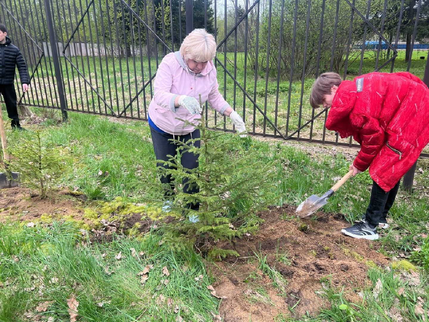 добрые дела, школьники, посадка деревьев,