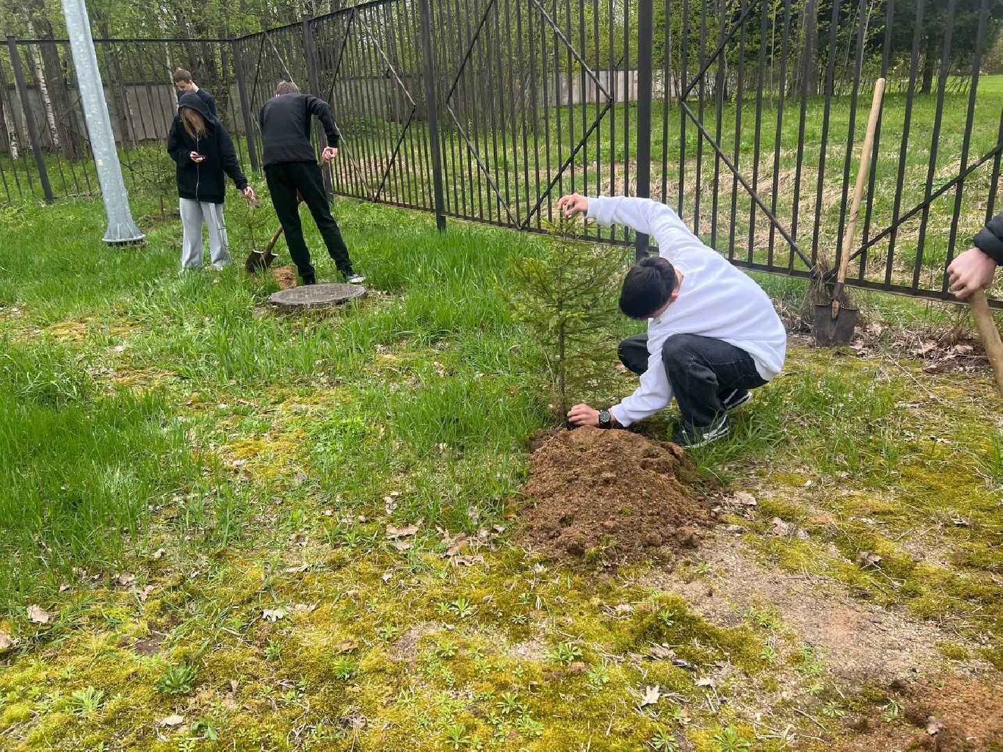 добрые дела, школьники, посадка деревьев,