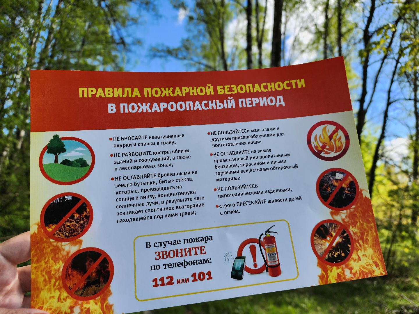 лес, пожарная безопасность, пожароопасный сезон, Лосино-Петровский,