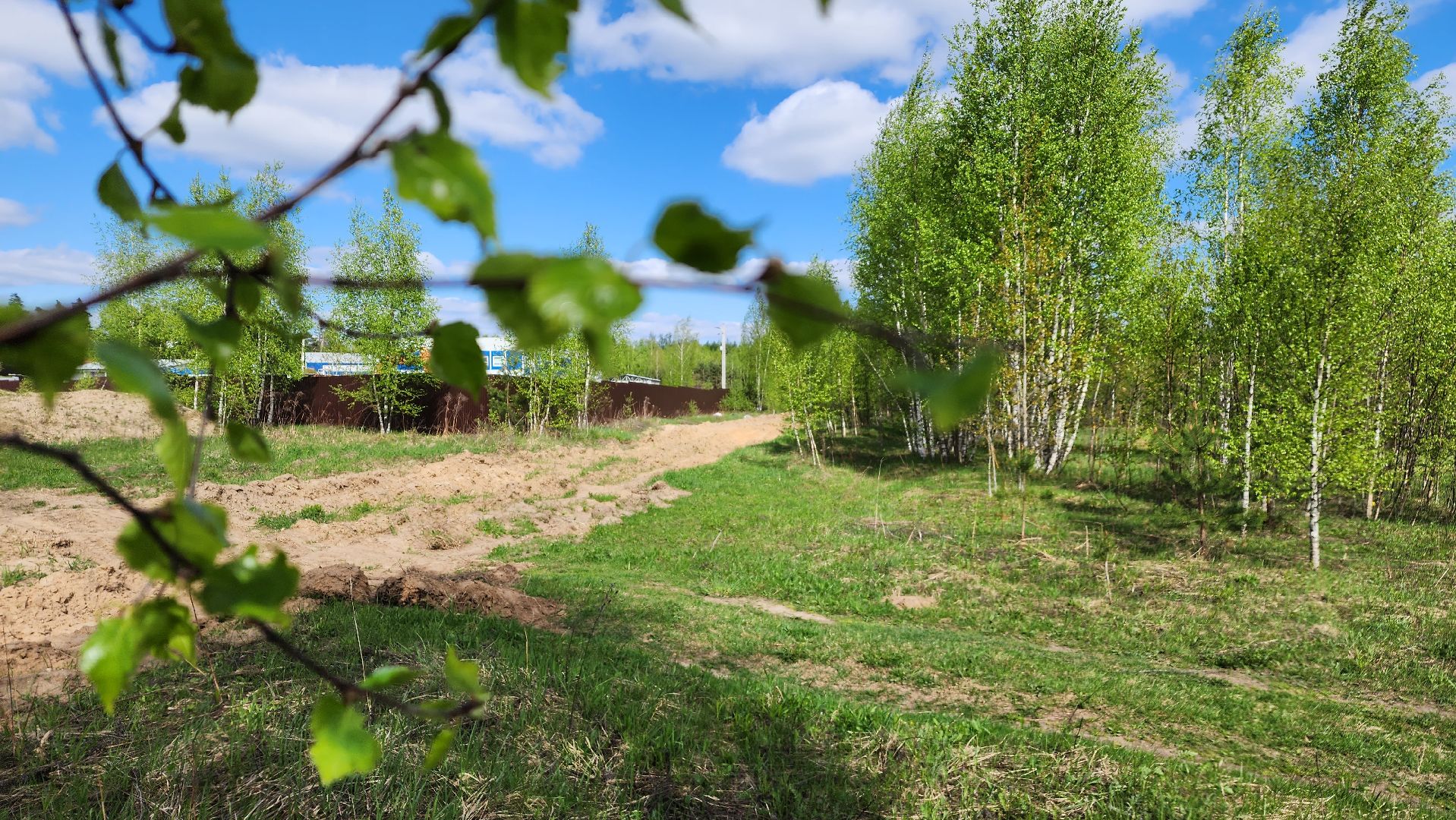 лес, пожарная безопасность, пожароопасный сезон, Лосино-Петровский,