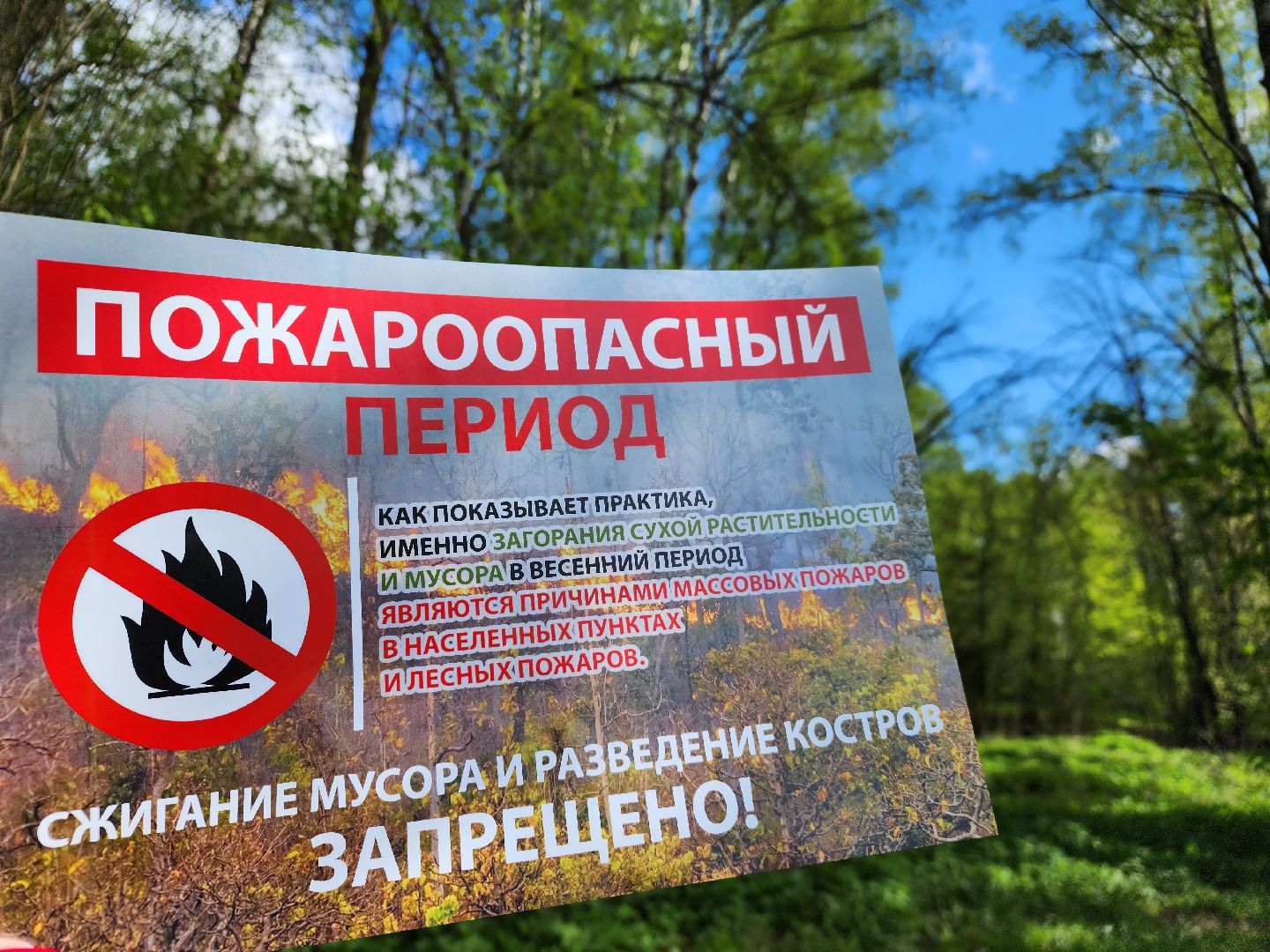 лес, пожарная безопасность, пожароопасный сезон, Лосино-Петровский,