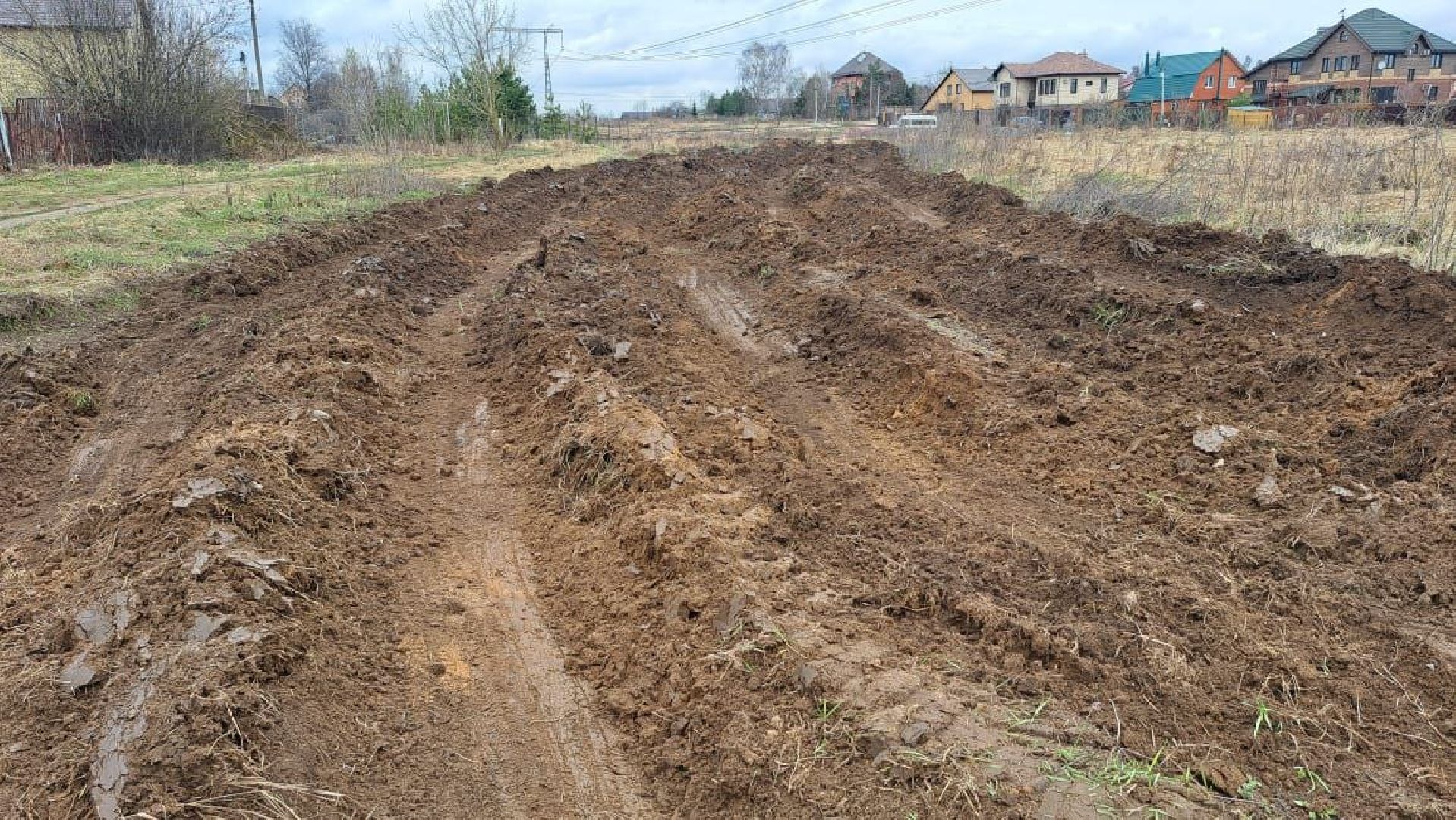 лес, пожарная безопасность, пожароопасный сезон, Лосино-Петровский,