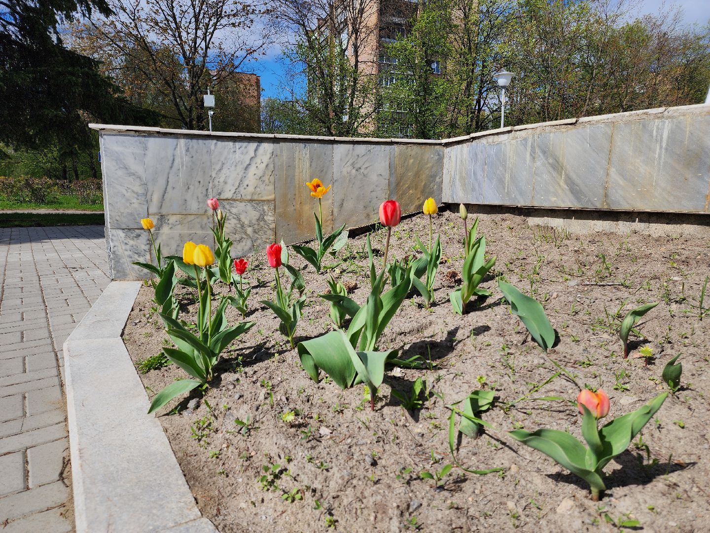 Черноголовка, День победы, Обелиск, благоустройство,