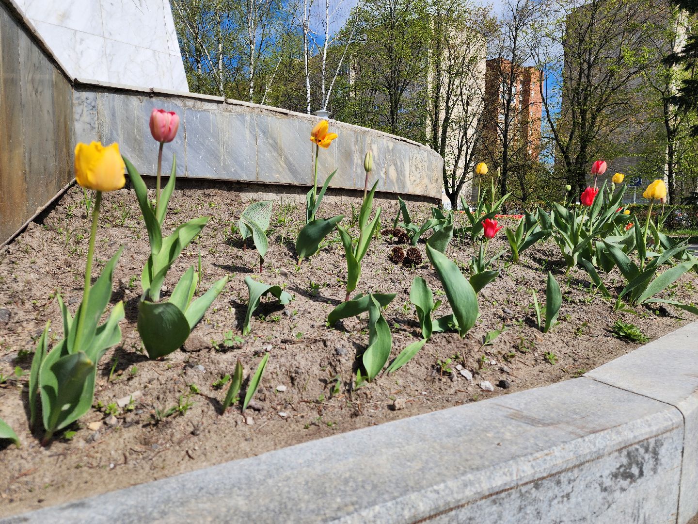 Черноголовка, День победы, Обелиск, благоустройство,