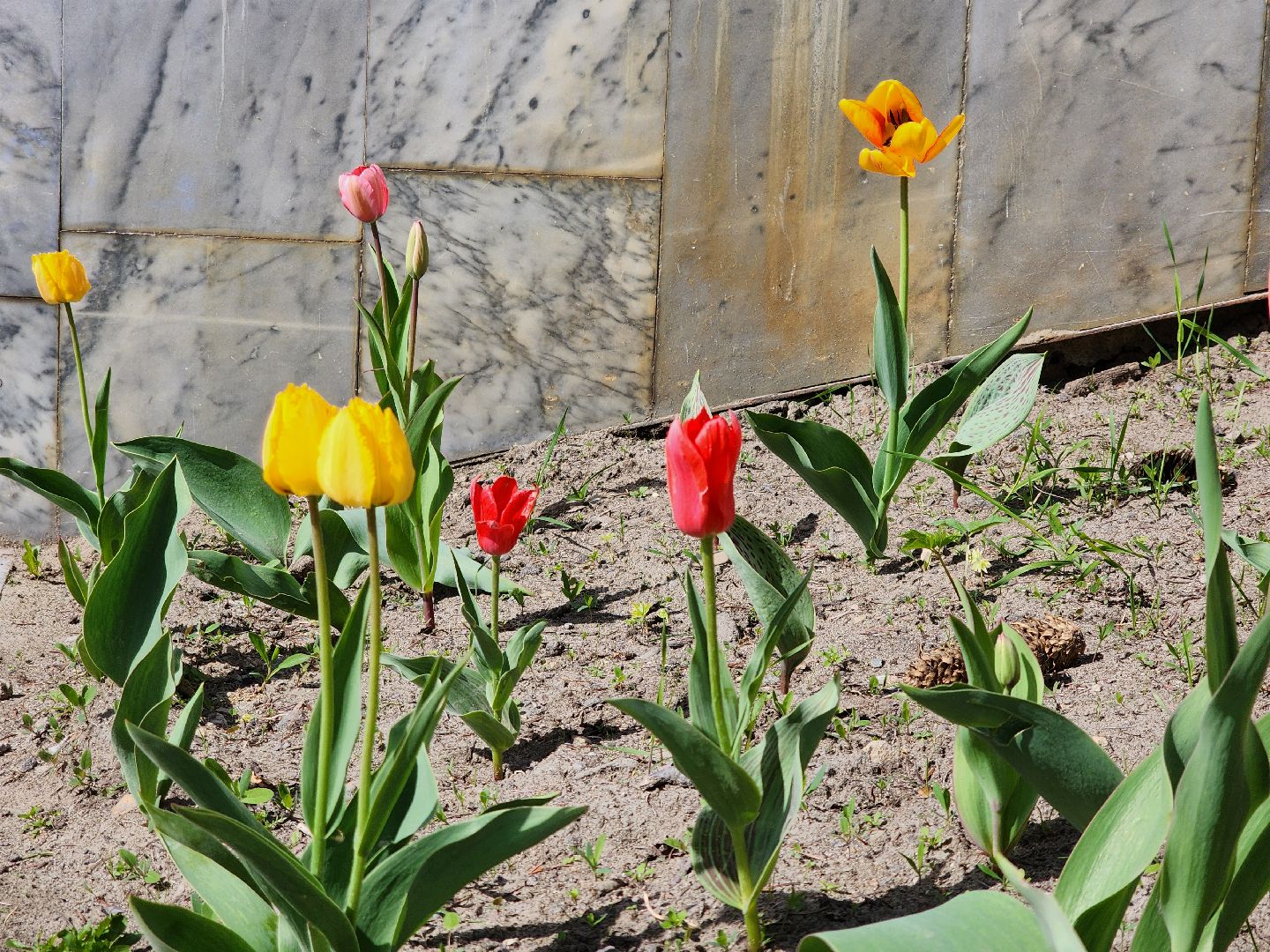Черноголовка, День победы, Обелиск, благоустройство,