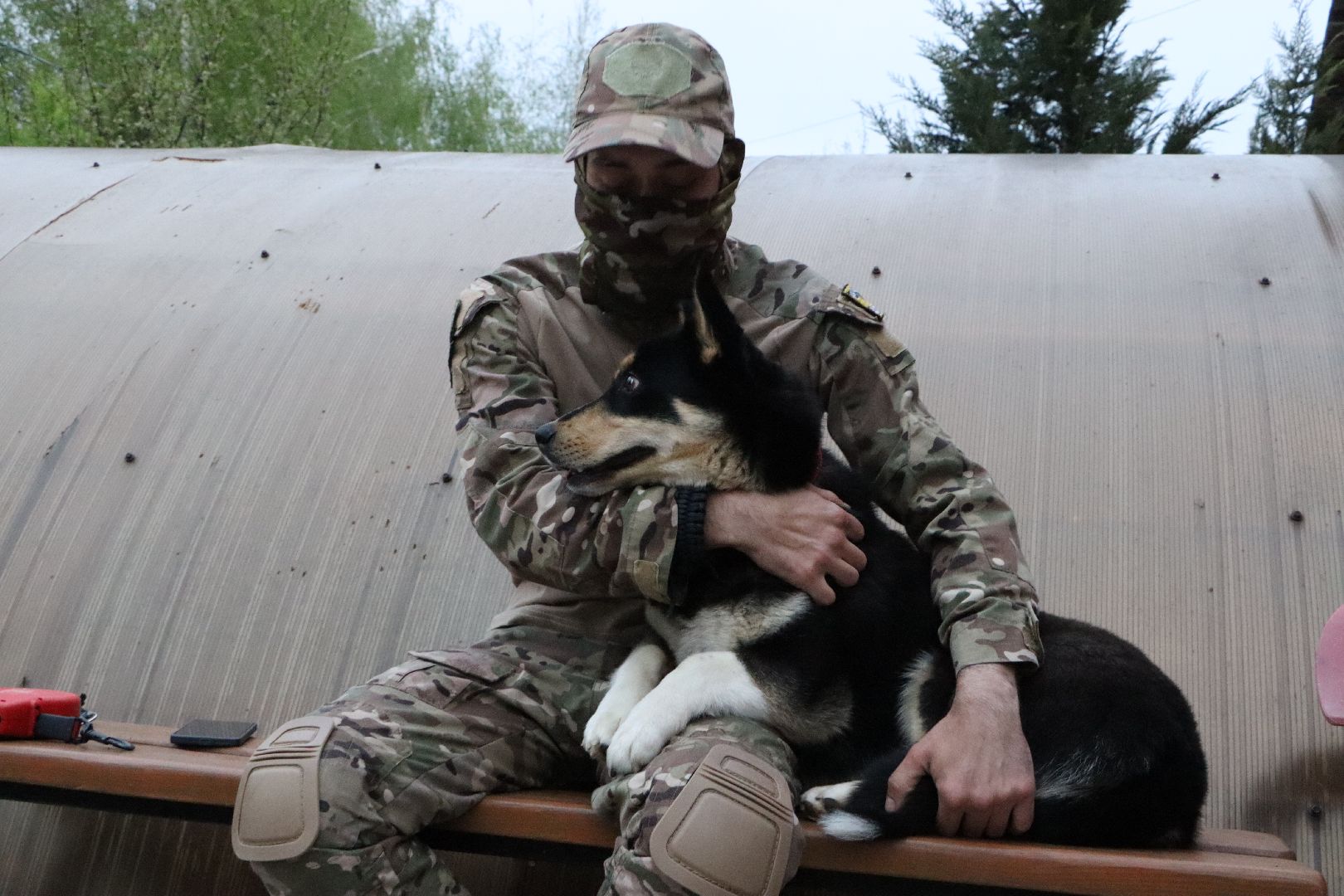 СВО, Ника, Метиска Ника, боец СВО, БАРАДА, Серебряные Пруды, собака дождалась бойца,