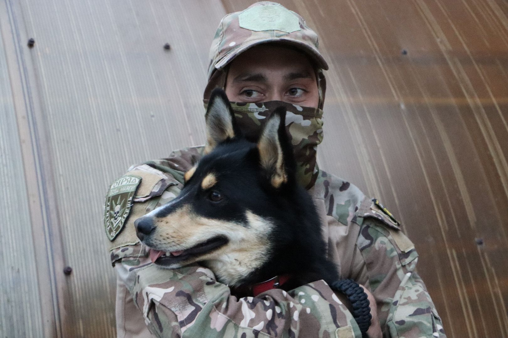 СВО, Ника, Метиска Ника, боец СВО, БАРАДА, Серебряные Пруды, собака дождалась бойца,