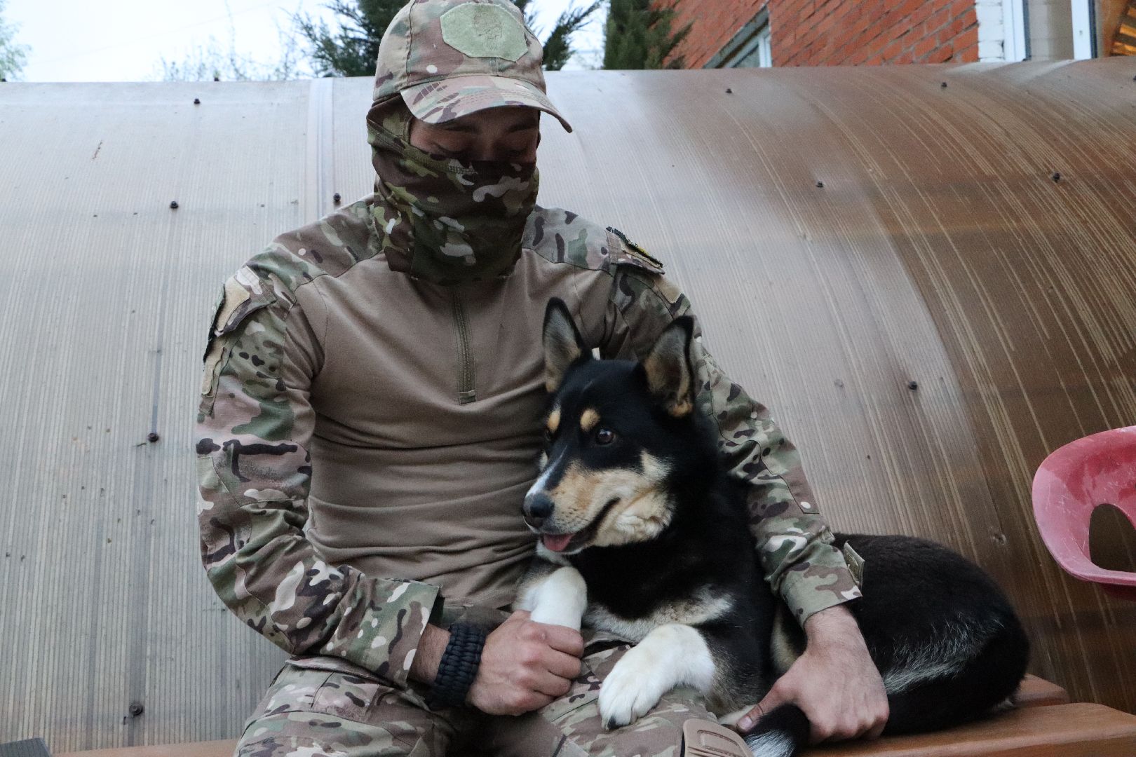 СВО, Ника, Метиска Ника, боец СВО, БАРАДА, Серебряные Пруды, собака дождалась бойца,