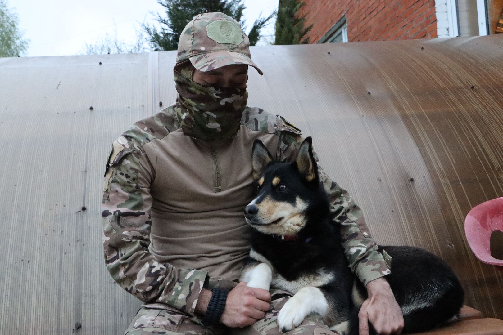 СВО, Ника, Метиска Ника, боец СВО, БАРАДА, Серебряные Пруды, собака дождалась бойца,