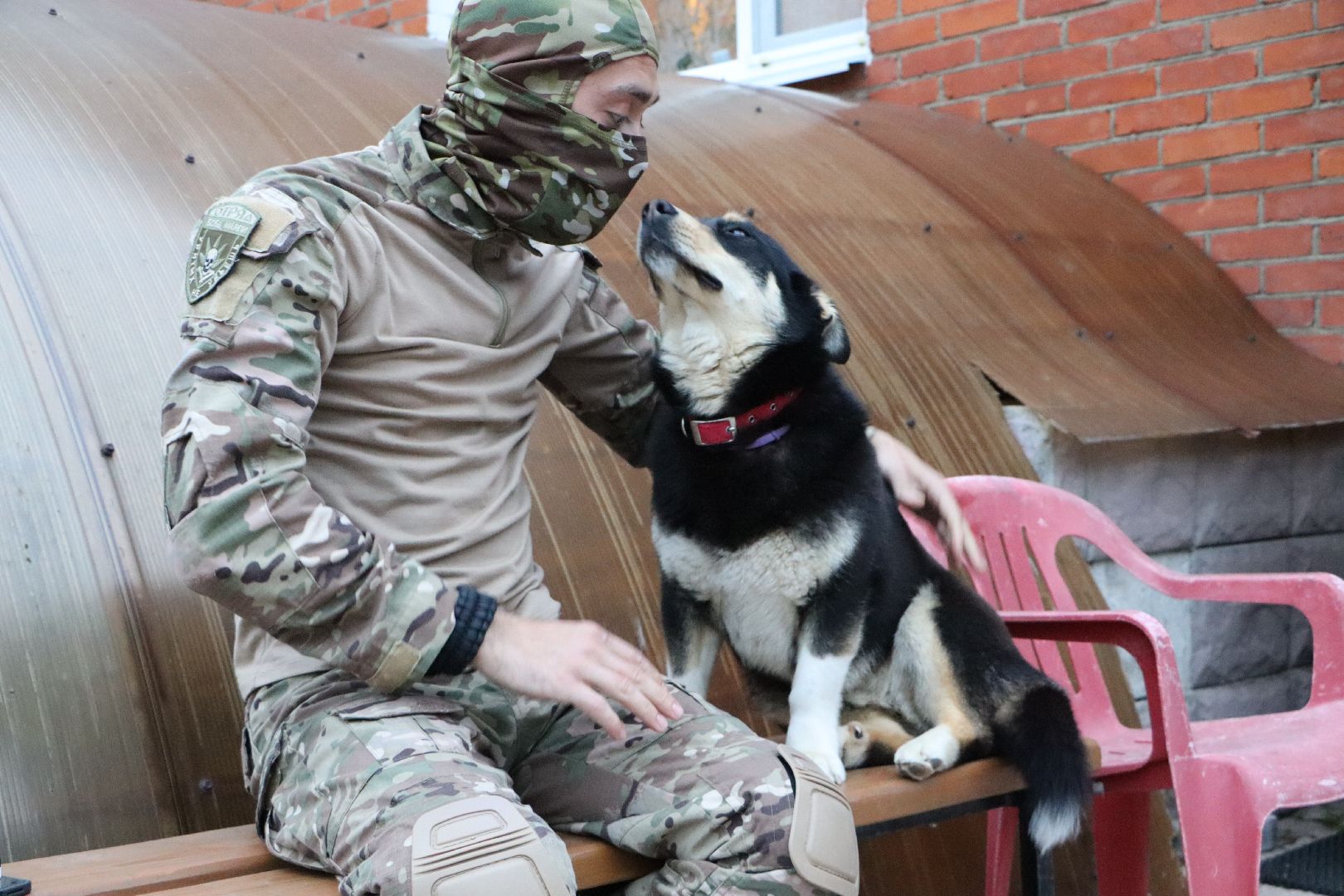 СВО, Ника, Метиска Ника, боец СВО, БАРАДА, Серебряные Пруды, собака дождалась бойца,