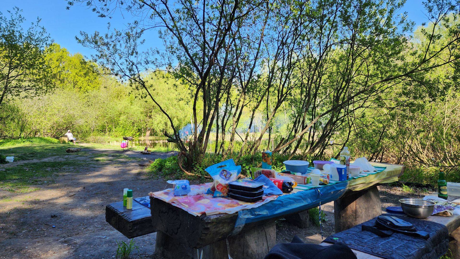 Подольск, Пикник, Отдых на природе, Змеиное озеро,