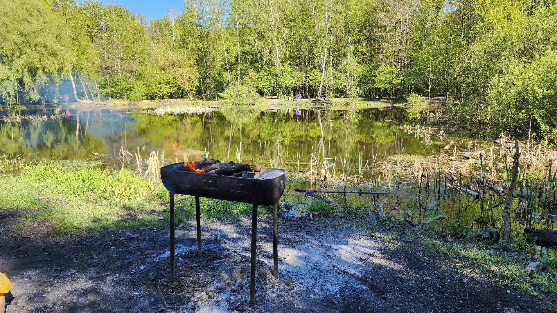 Подольск, Пикник, Отдых на природе, Змеиное озеро,