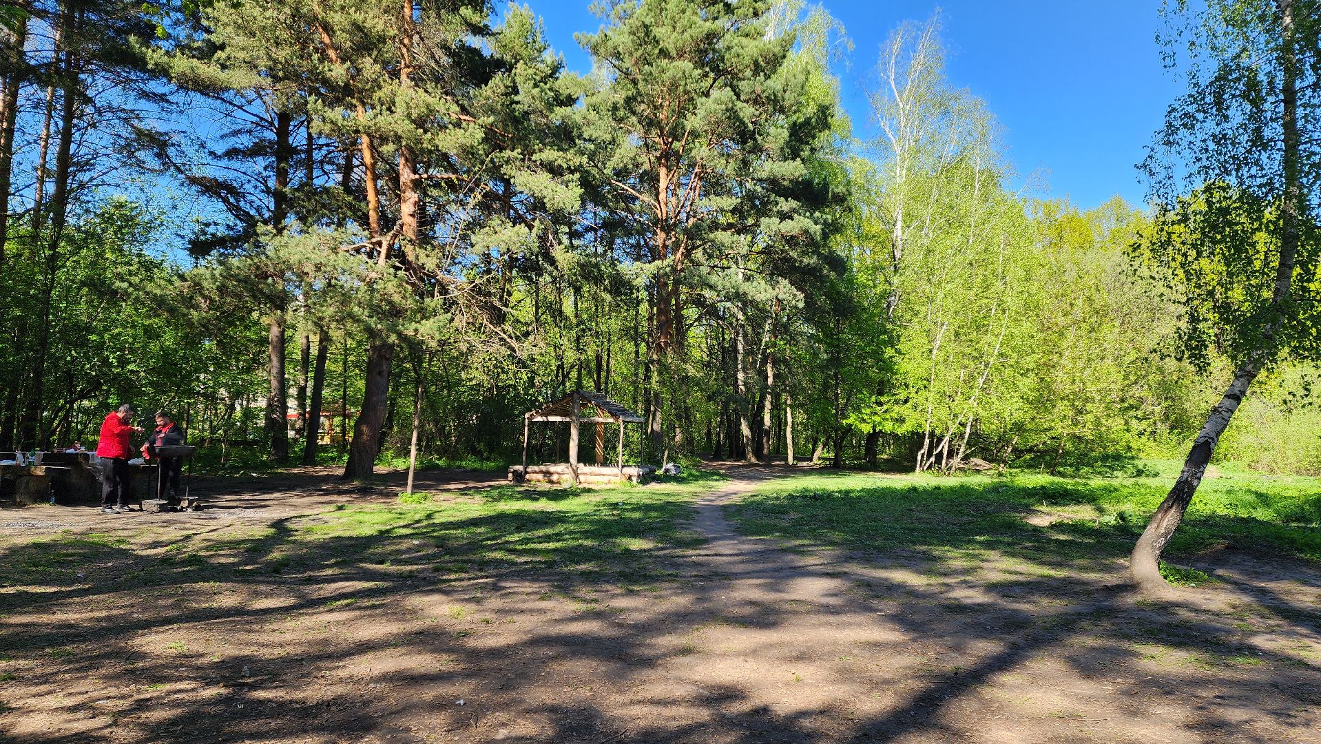 Подольск, Пикник, Отдых на природе, Змеиное озеро,