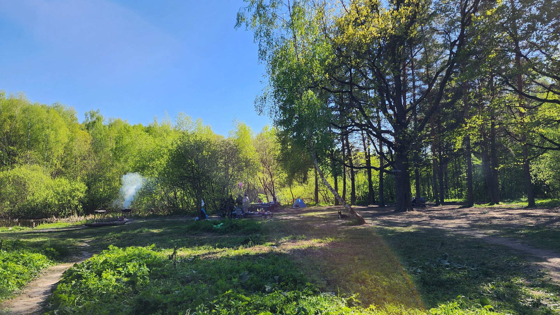 Подольск, Пикник, Отдых на природе, Змеиное озеро,