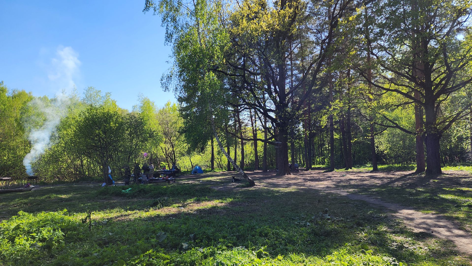 Подольск, Пикник, Отдых на природе, Змеиное озеро,