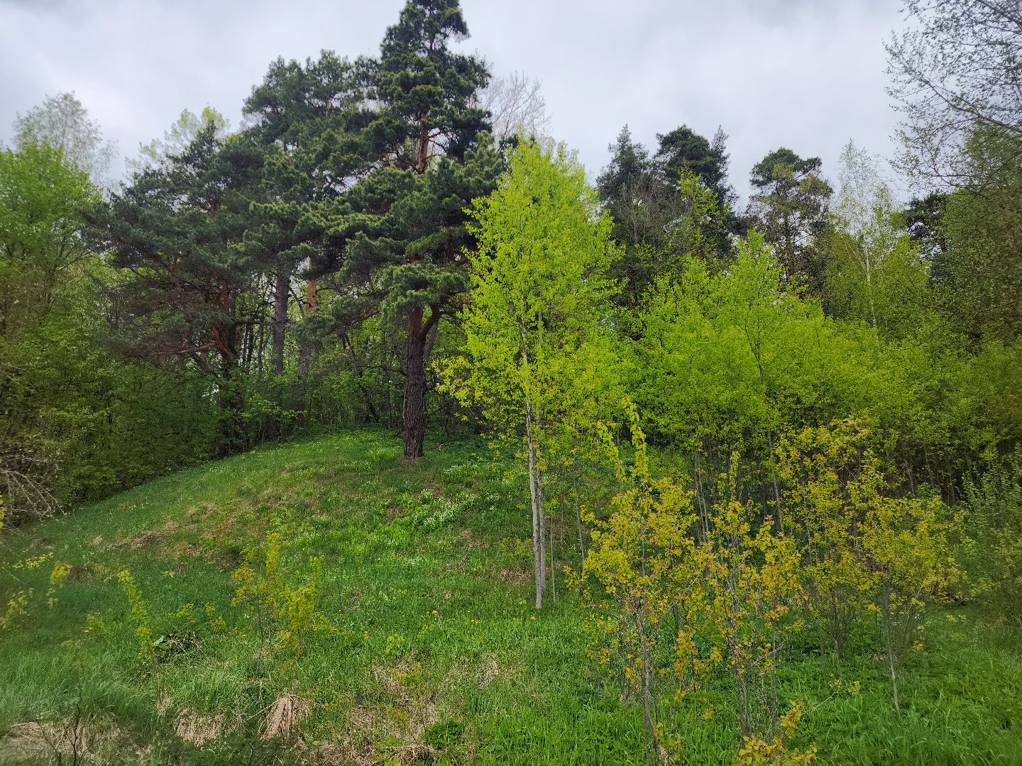 Звенигород, Туризм,