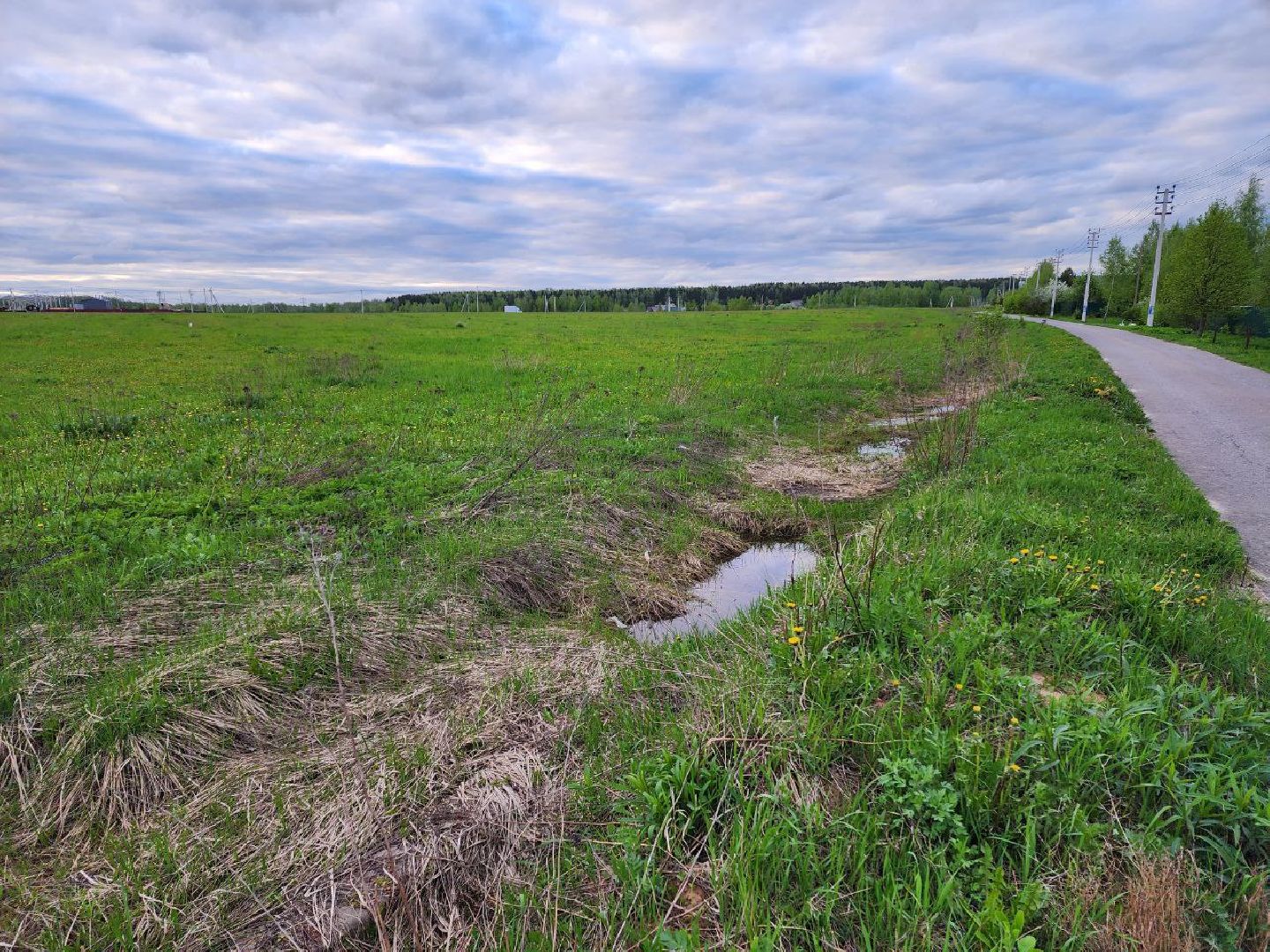 чехов, выездная администрация, глава администрации, жители, дорога, весенние паводки,