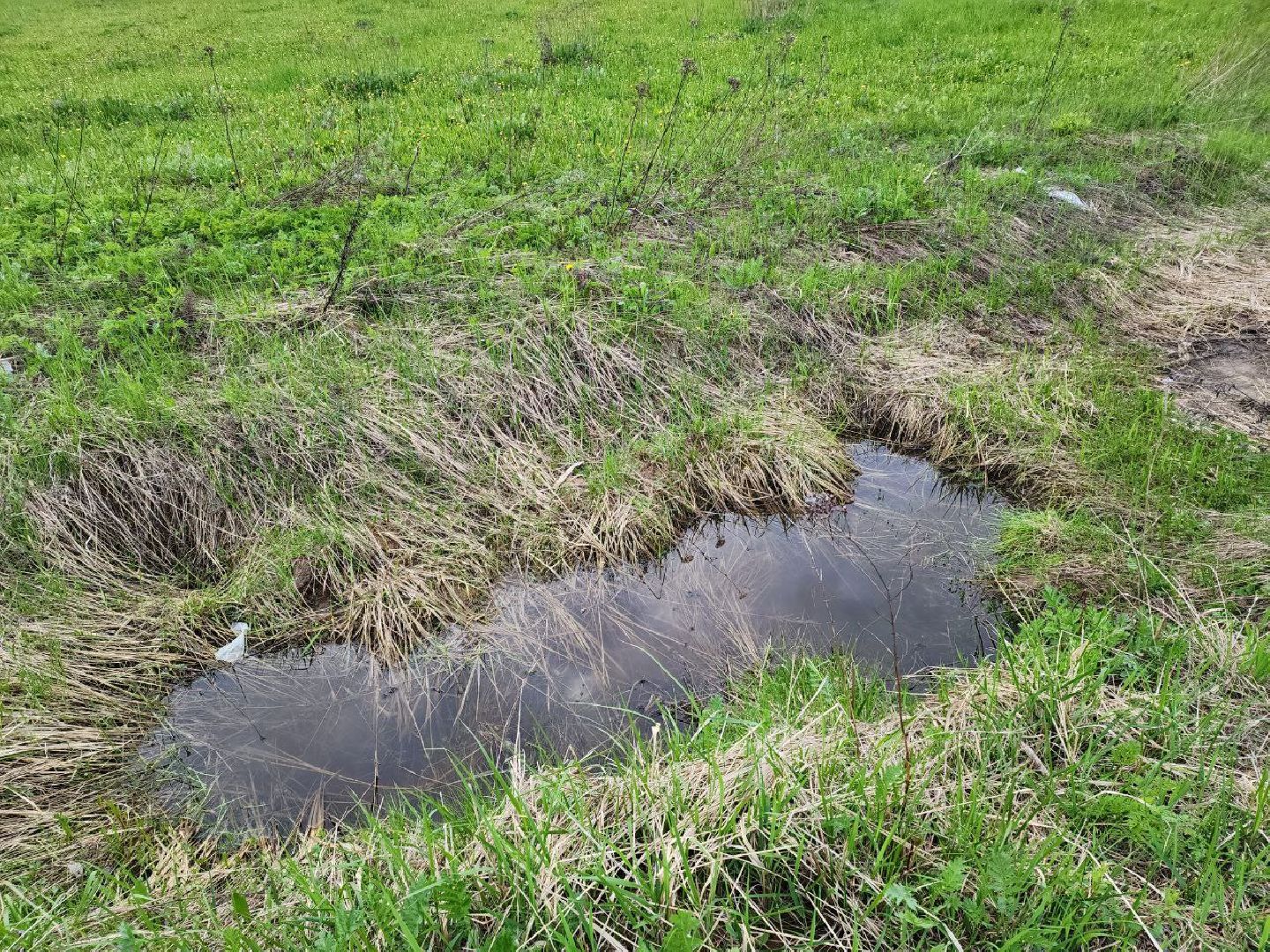 чехов, выездная администрация, глава администрации, жители, дорога, весенние паводки,