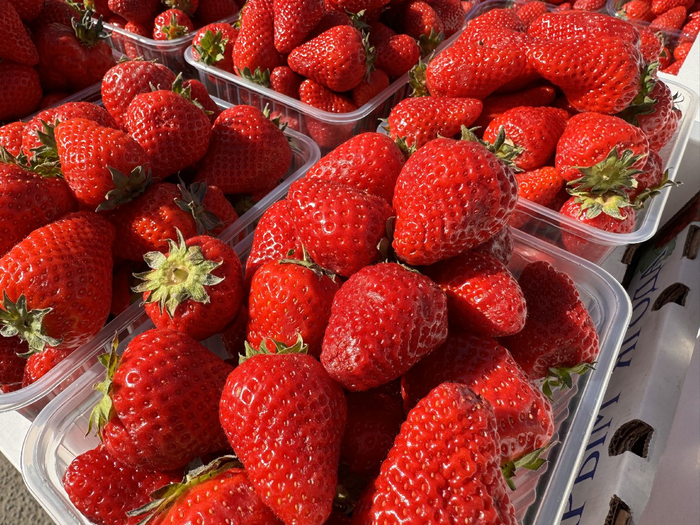 Одинцово, Крымская клубника, одинцовское подворье,