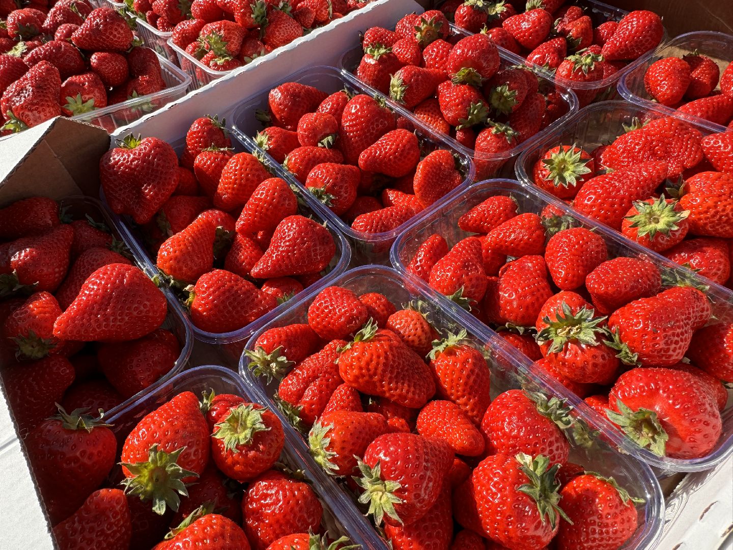 Одинцово, Крымская клубника, одинцовское подворье,