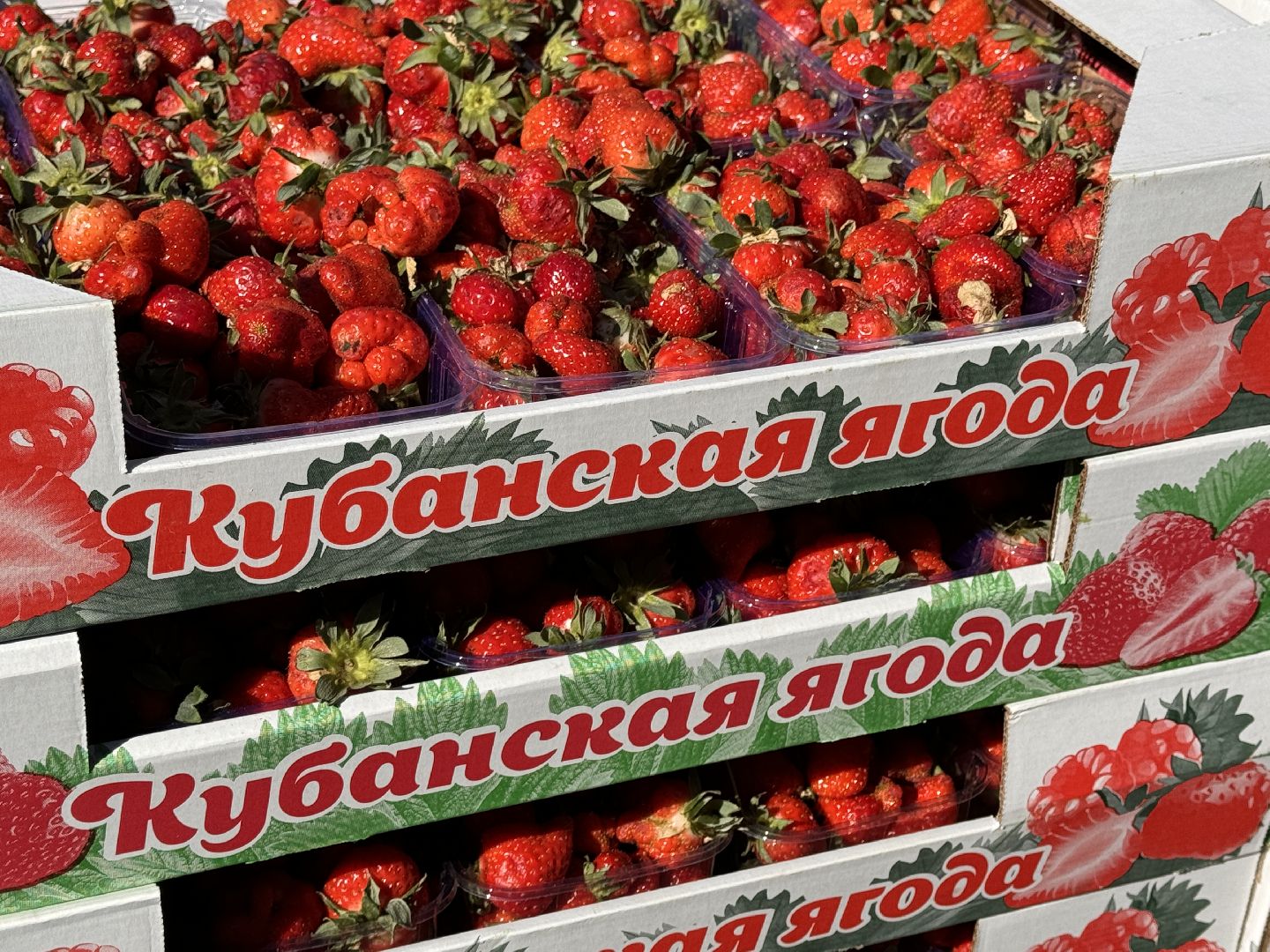 Одинцово, Крымская клубника, одинцовское подворье,