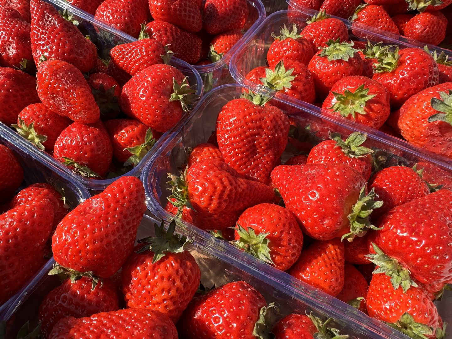 Одинцово, Крымская клубника, одинцовское подворье,