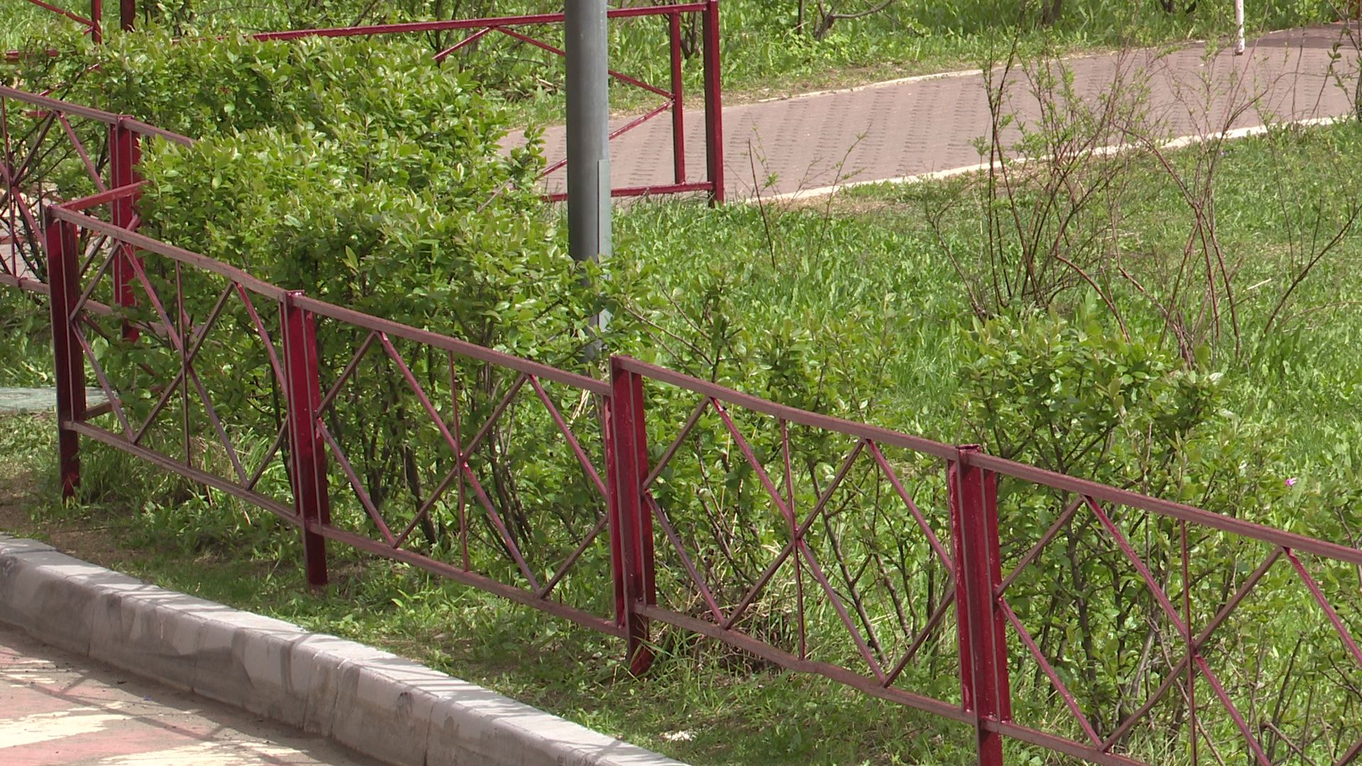 Реутов, площадка, выгул собак, четырехлапые, домашние питомцы,