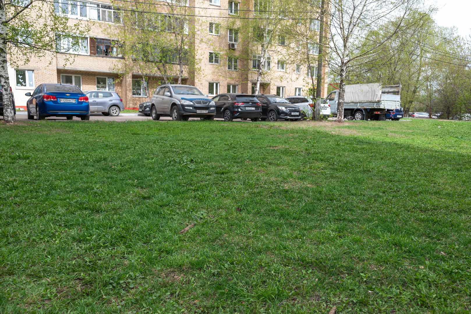 Реутов, площадка, выгул собак, четырехлапые, домашние питомцы,