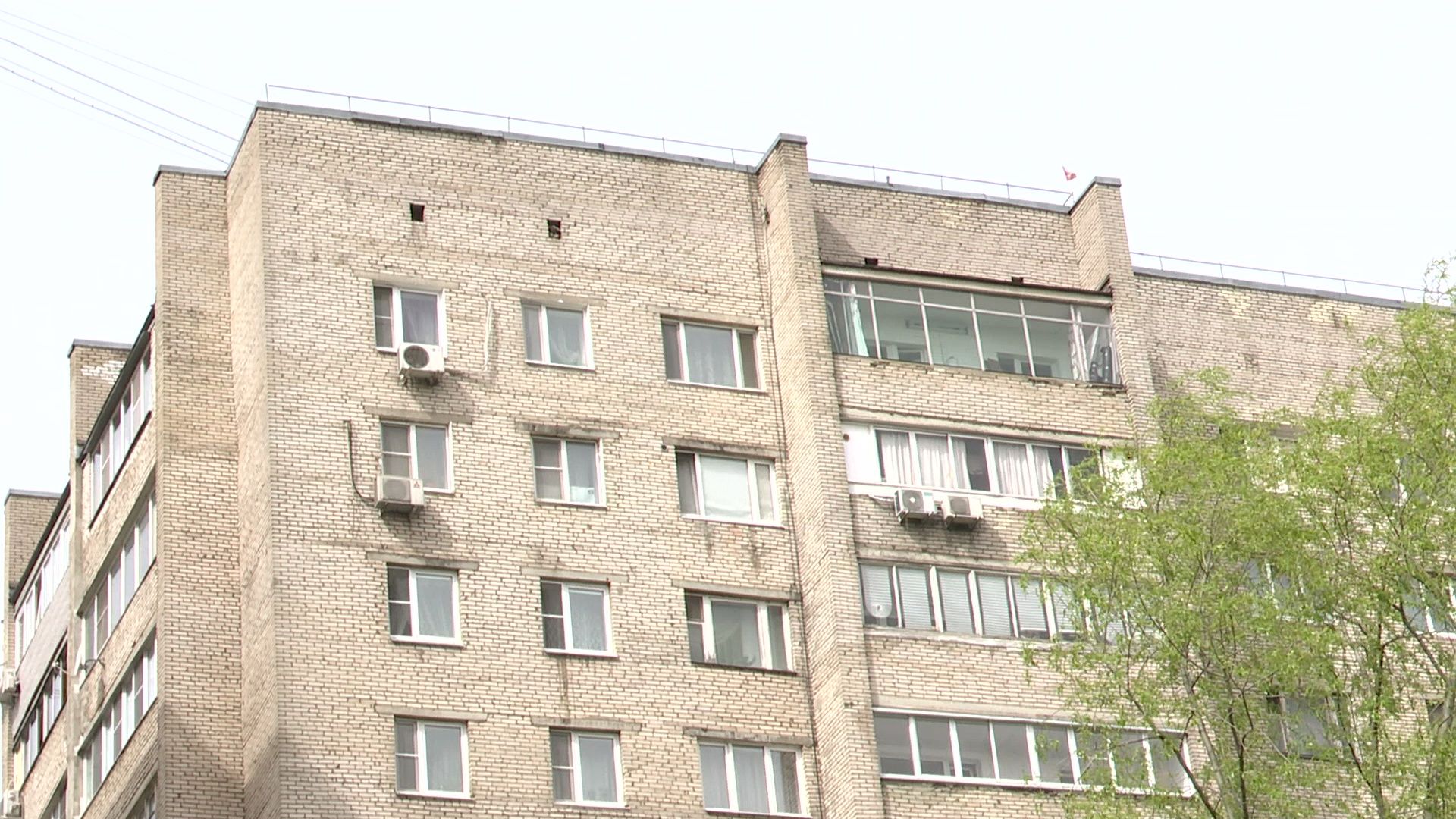 Реутов, площадка, выгул собак, четырехлапые, домашние питомцы,