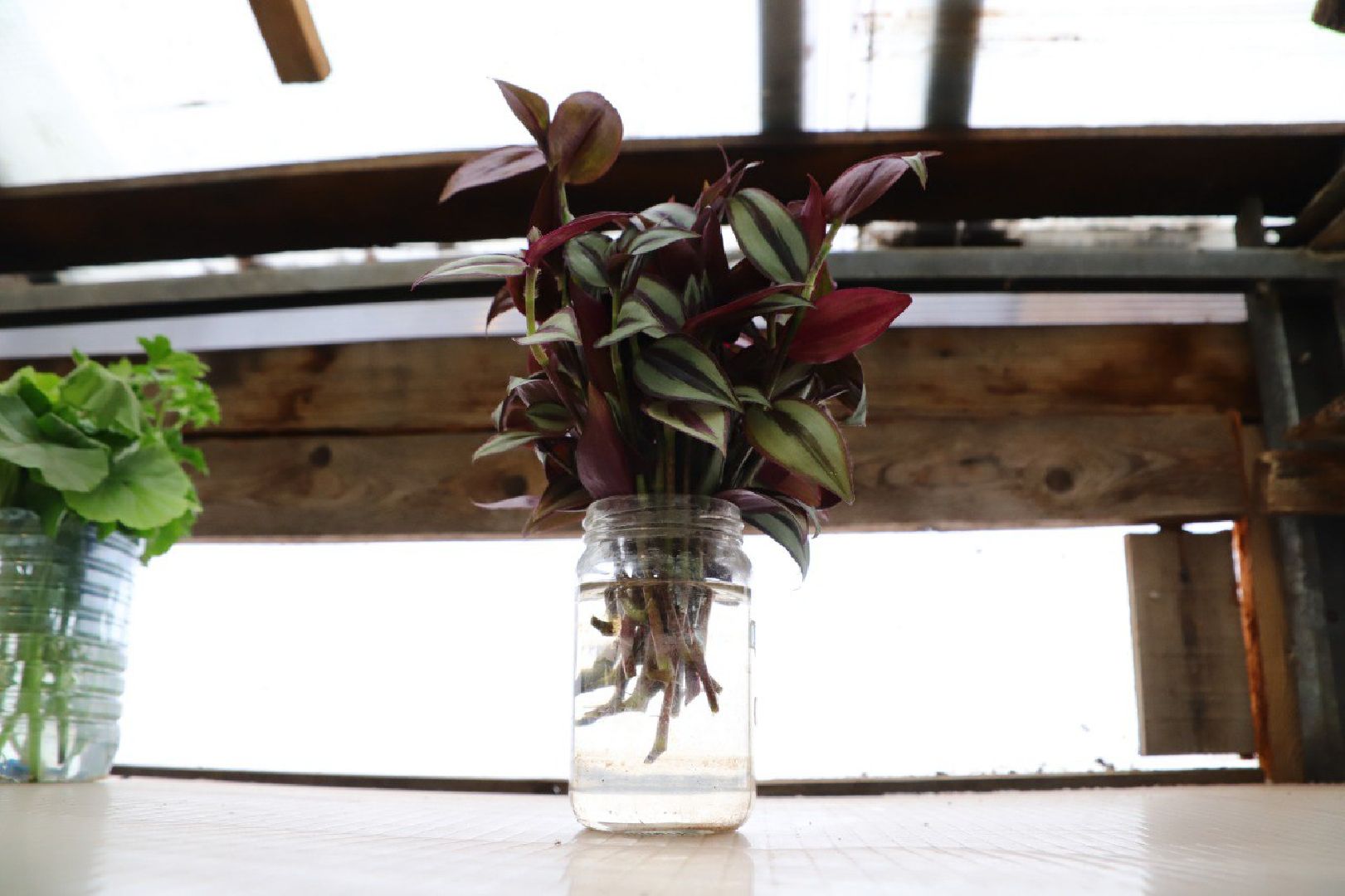 воскресенск, благоустройство, город, цветы,