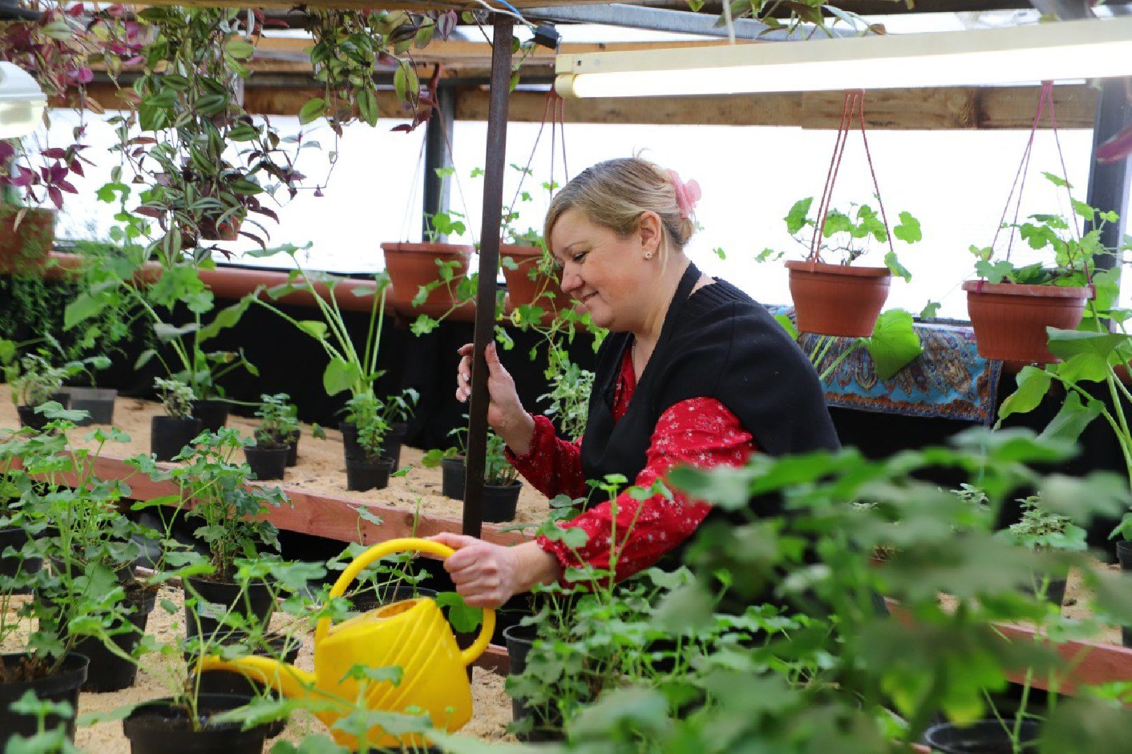 воскресенск, благоустройство, город, цветы,