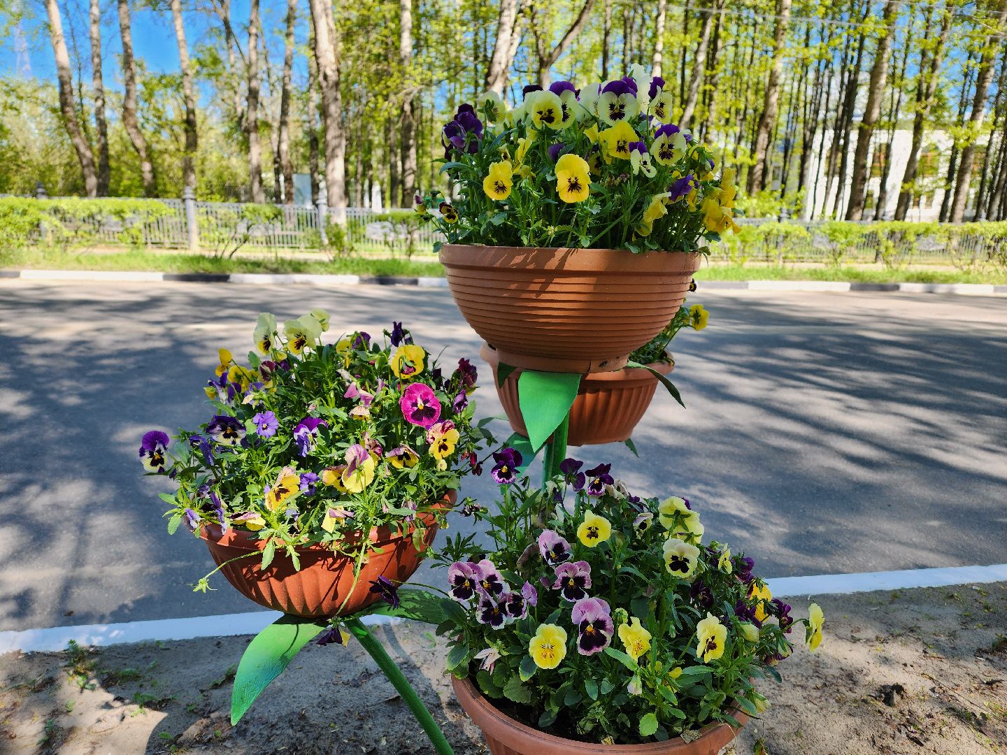 воскресенск, благоустройство, город, цветы,