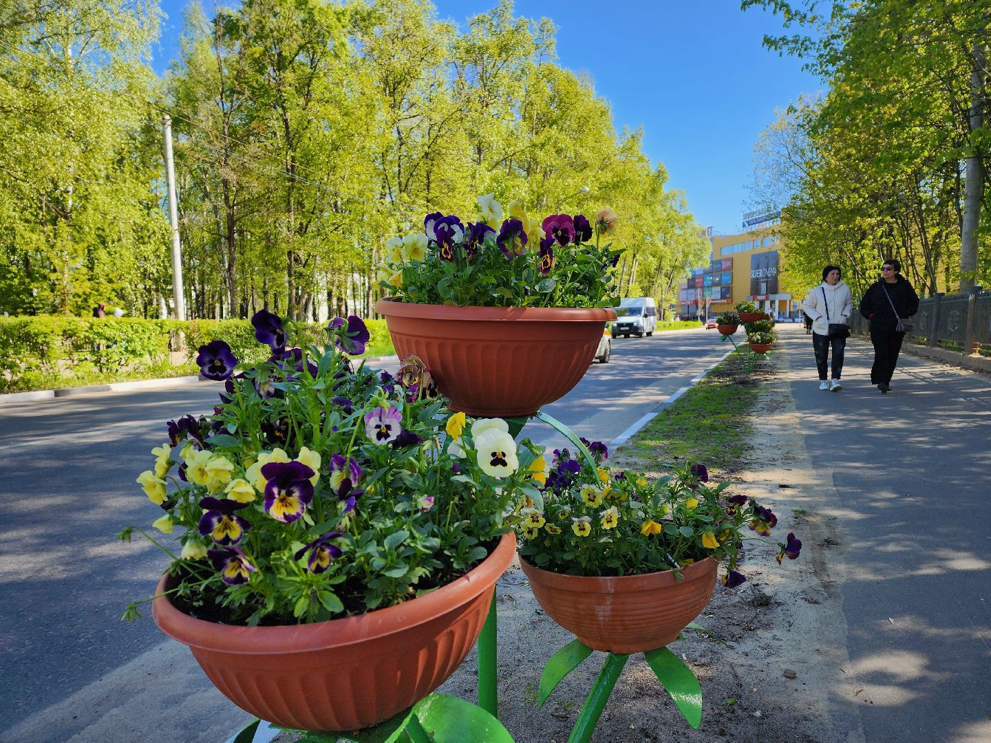 воскресенск, благоустройство, город, цветы,