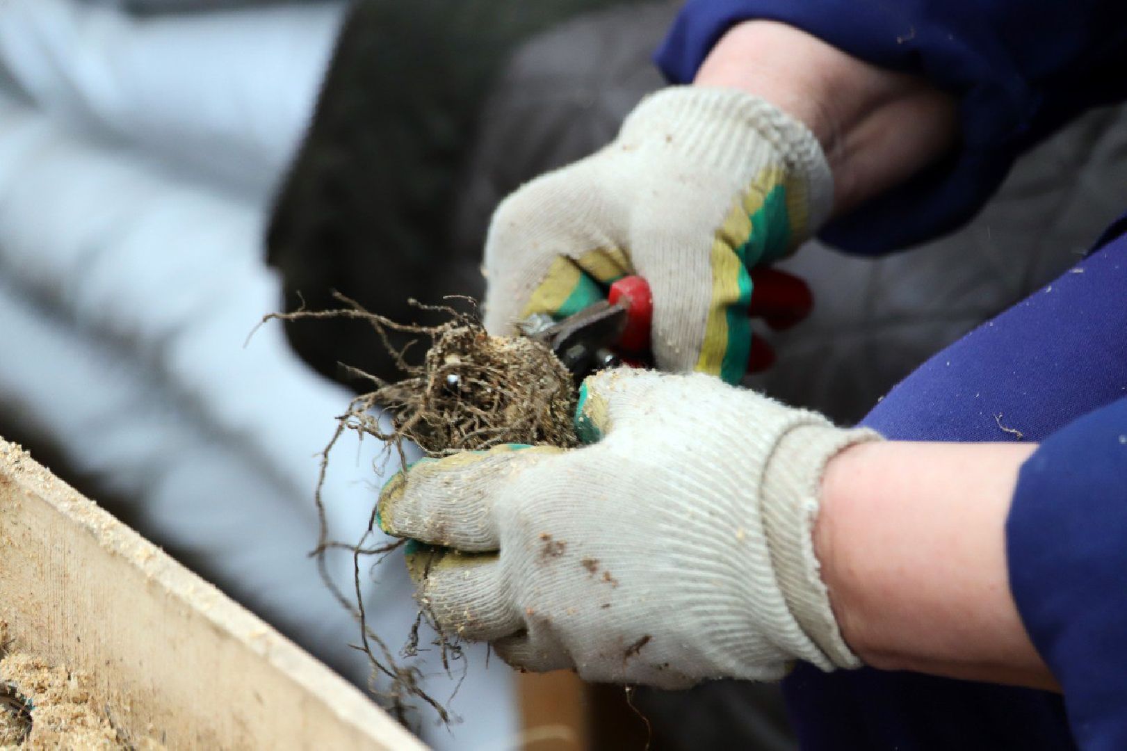 воскресенск, благоустройство, город, цветы,